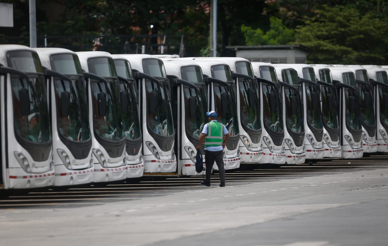 Mi Bus incrementará su circulación con la incorporación de más de 200  unidades para octubre | La Prensa Panamá