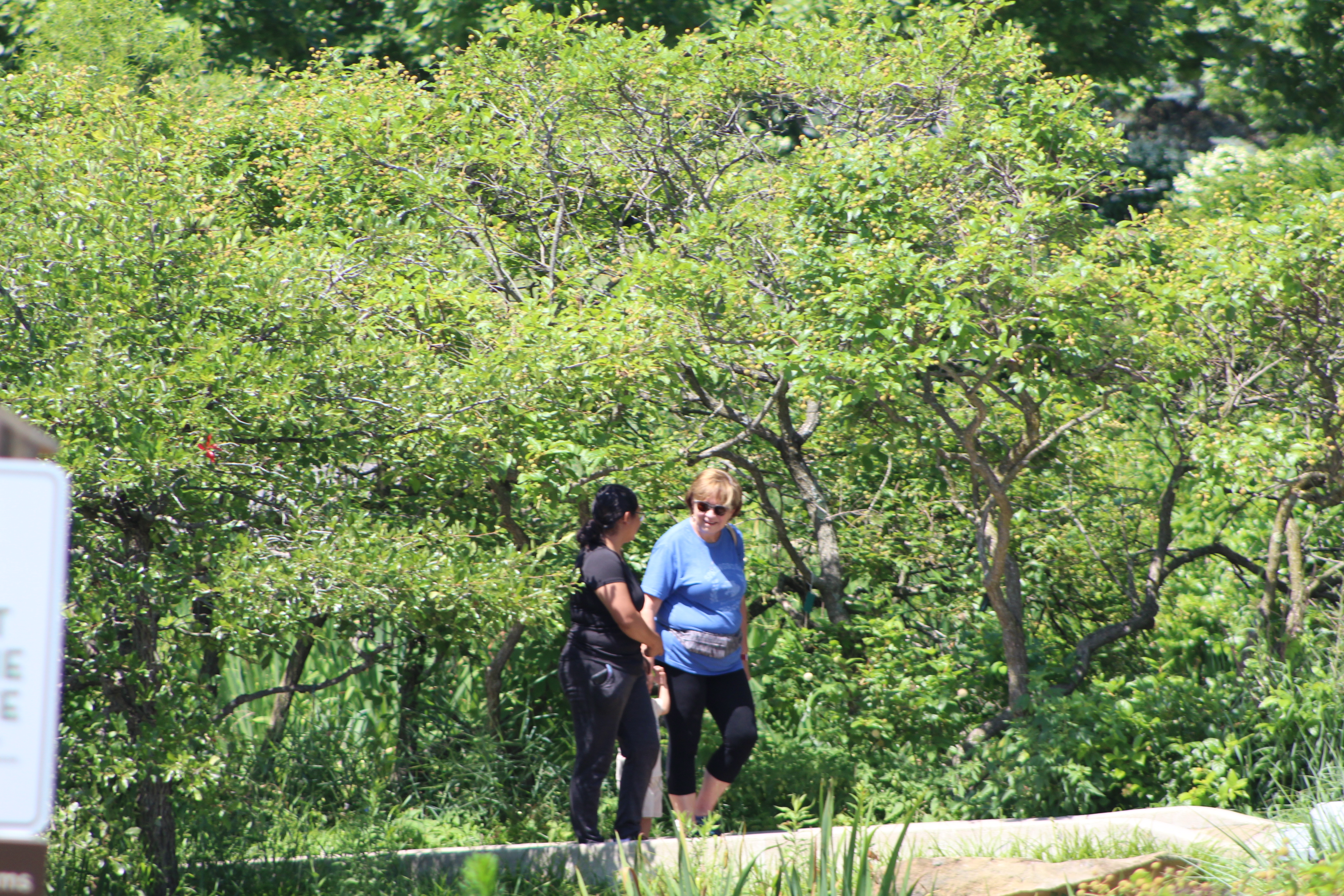 Visitors stroll through Cox Arboretum MetroPark. CORNELIUS FROLIK / STAFF