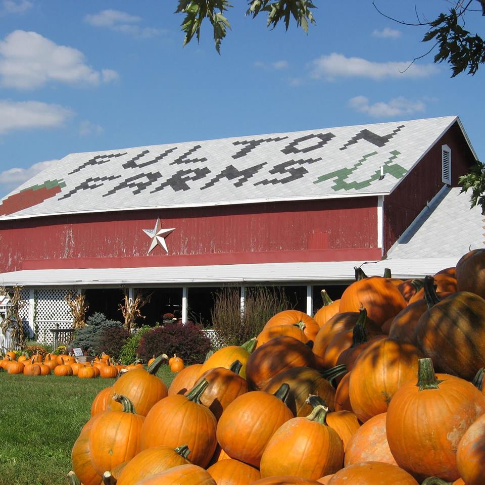 Fulton's Farm offers a huge selection of pumpkins, so you shouldn’t have trouble finding the right one for you. (Source: Facebook)