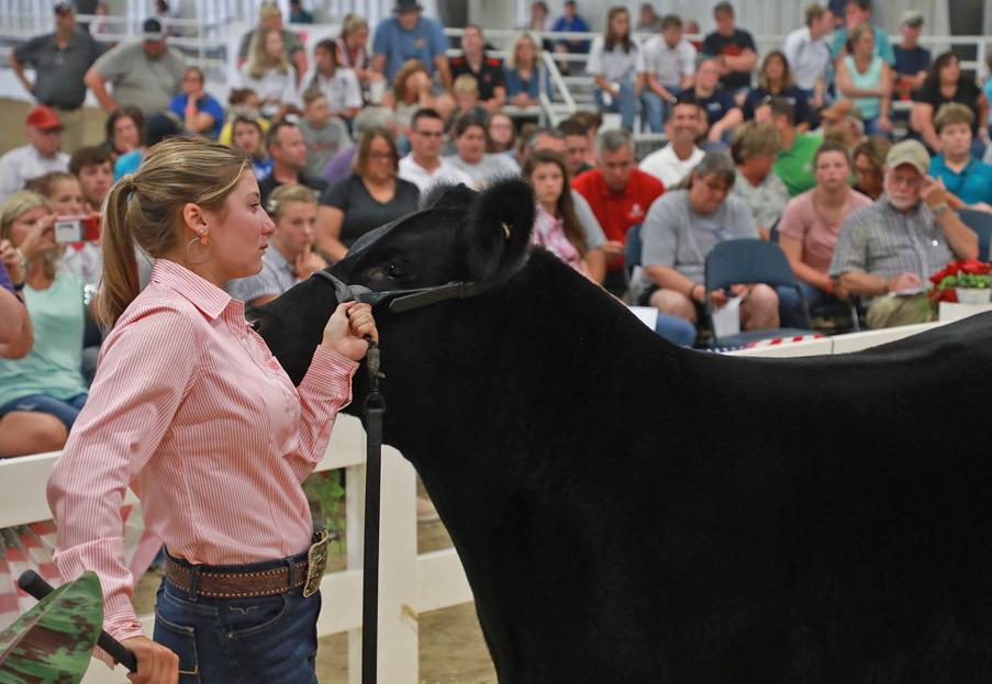 Clark County Fair closes out with hard goodbyes