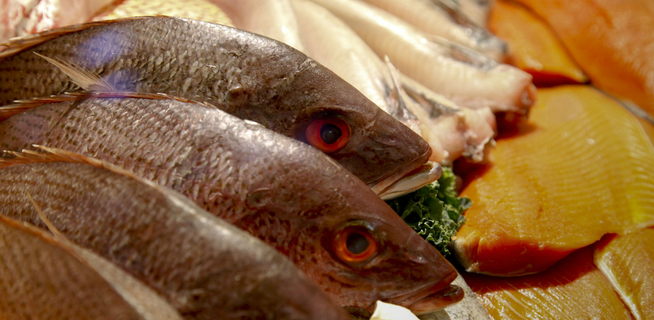 Greenfire Bistro has started selling custom-cut fresh fish from the restaurant at 965 W. Main St.