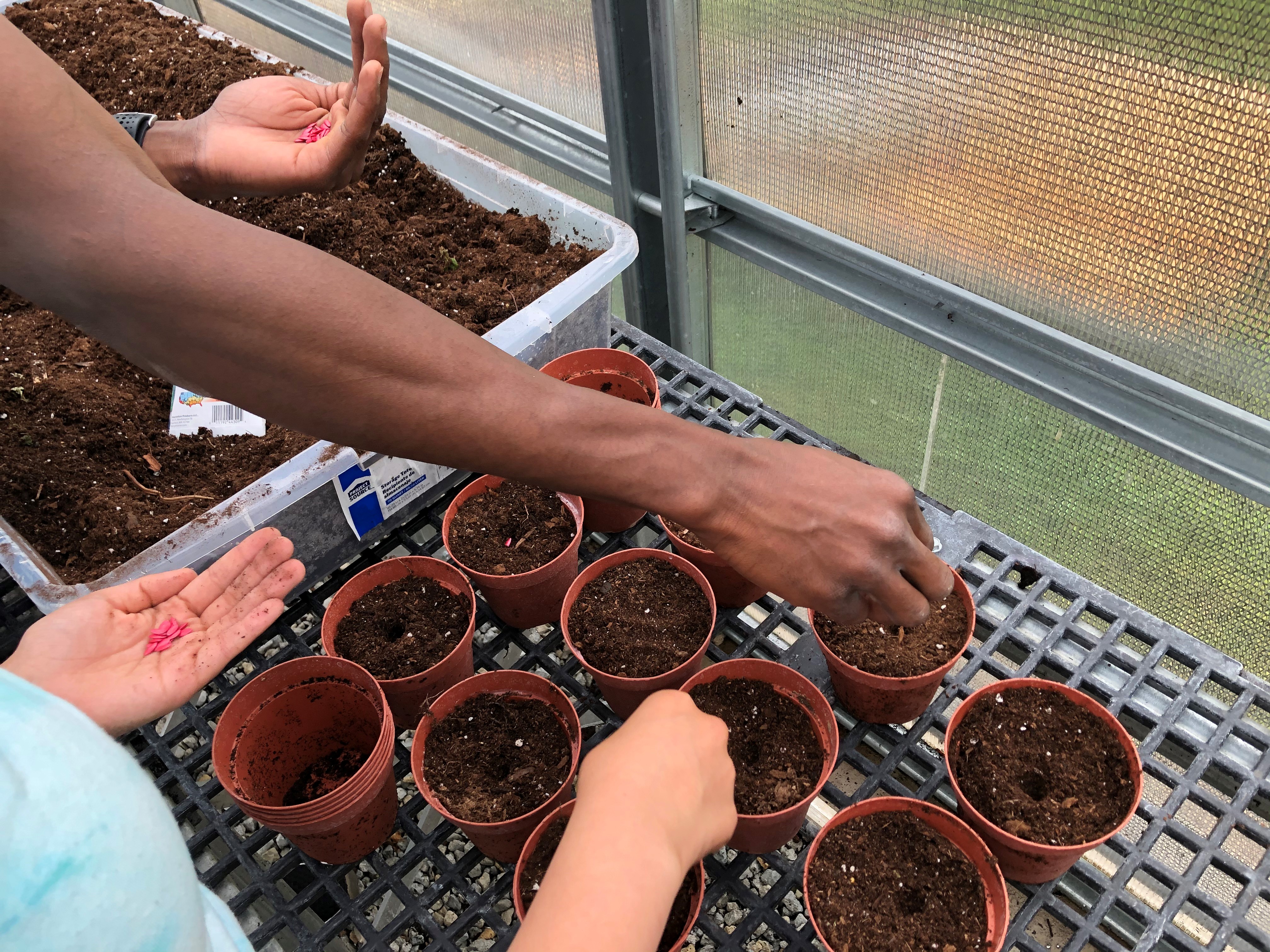 The Greene County Juvenile Court started the greenhouse to help youth offenders in 2018. STAFF/BONNIE MEIBERS