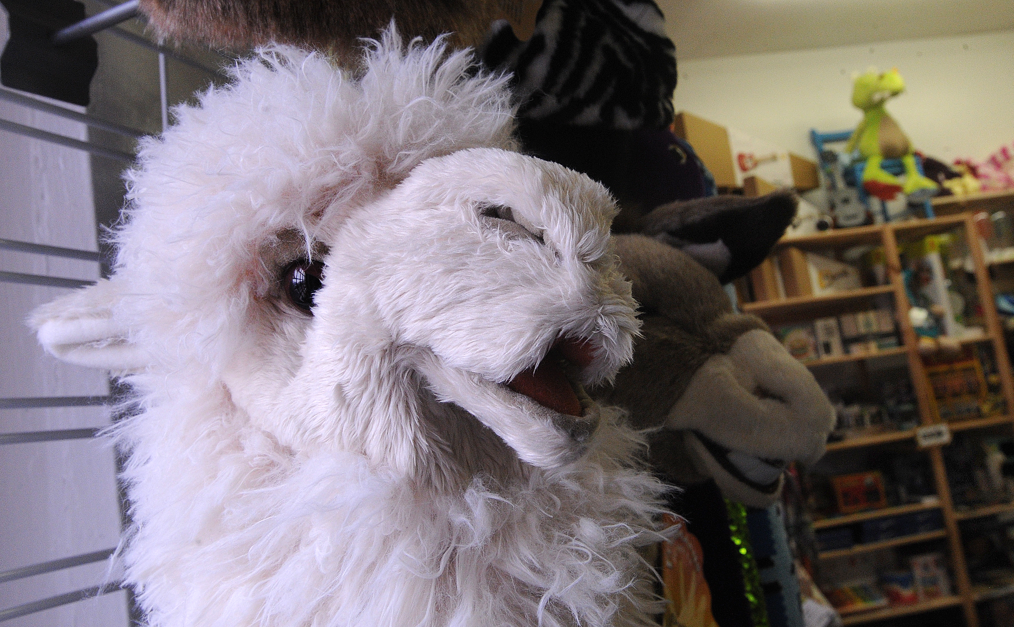 The Yellow Springs Toy Company has many unique toys, puzzles, books, cards and candy. MARSHALL GORBY\STAFF