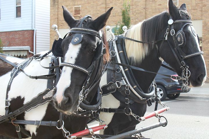 Scenes from last year's Yuletide Winter's Gathering in Tipp City. This year's event will be spread out over more days. CONTRIBUTED PHOTO.