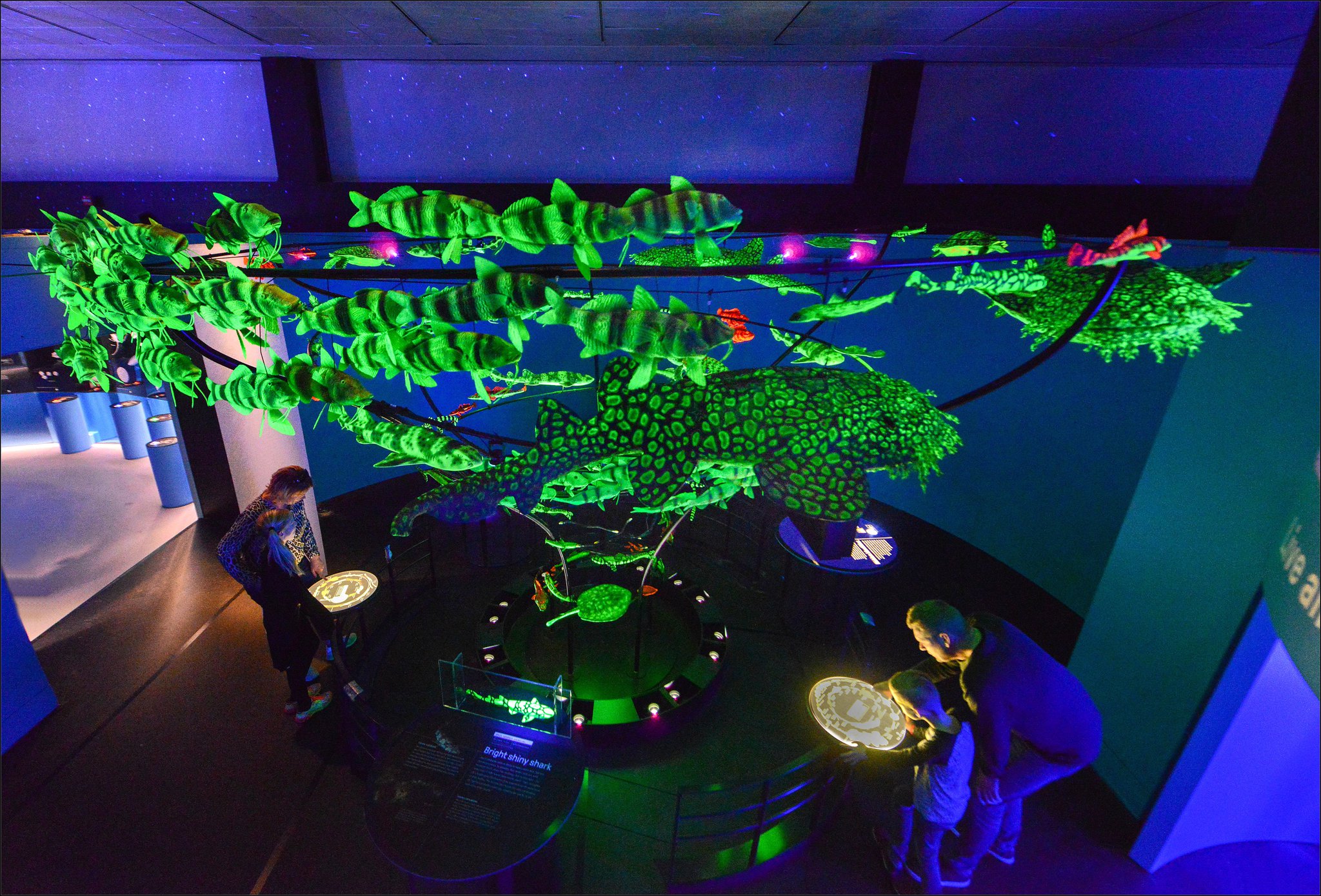 Frederic Bertley, COSI president and CEO, says one of his current favorite places is the “Unseen Oceans” exhibit, a traveling exhibit from the American Museum of Natural History. CONTRIBUTED