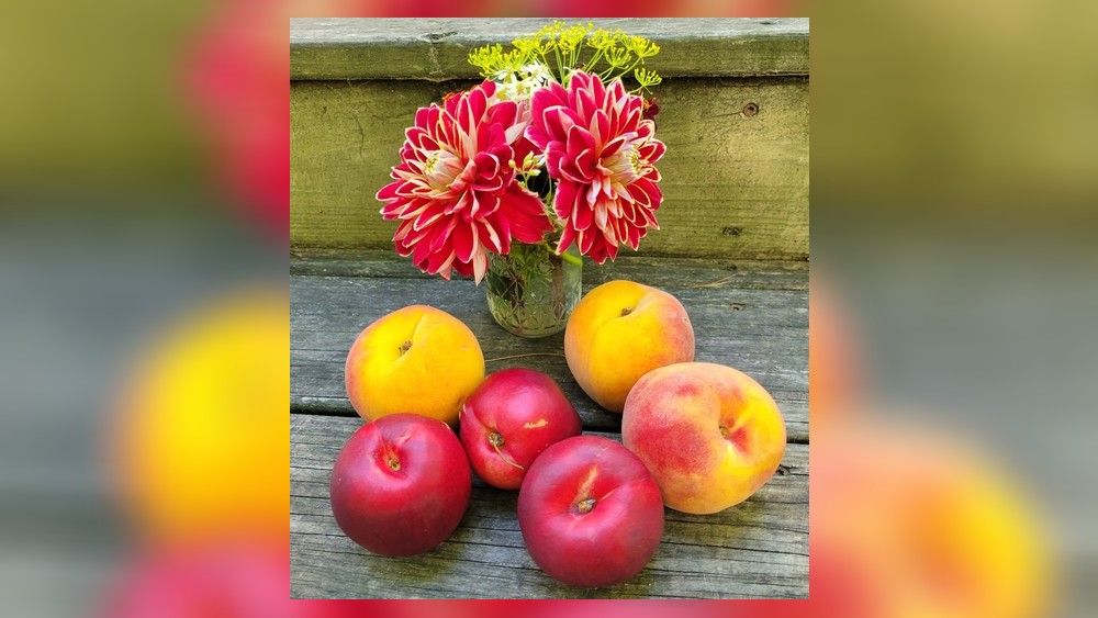 Nectarine vs. Peach: What's the Difference?