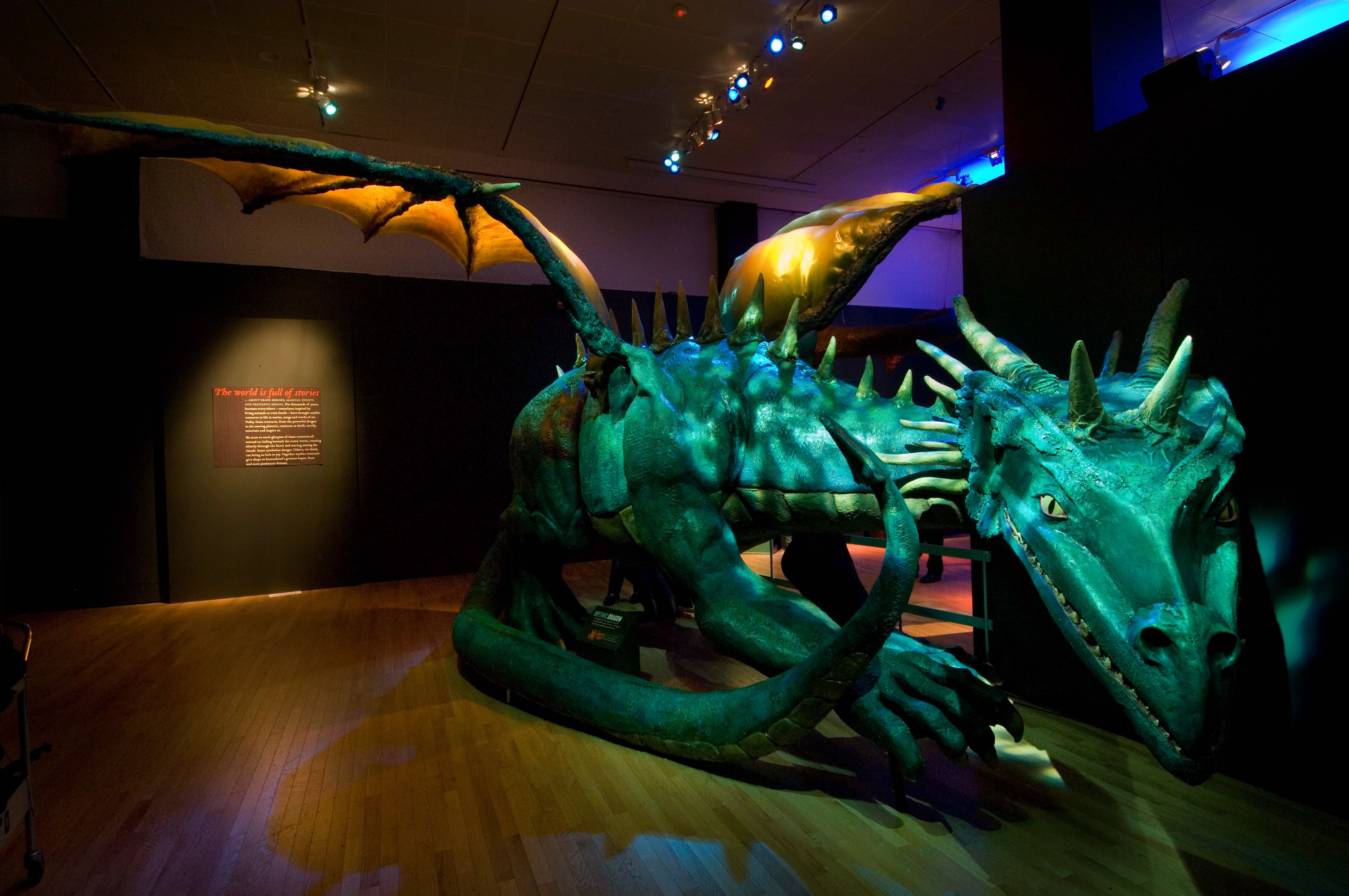 Dragon model This 17-foot-long dragon with a wingspan of over 19 feet guards the entrance to the exhibition.© AMNH/D. Finnin