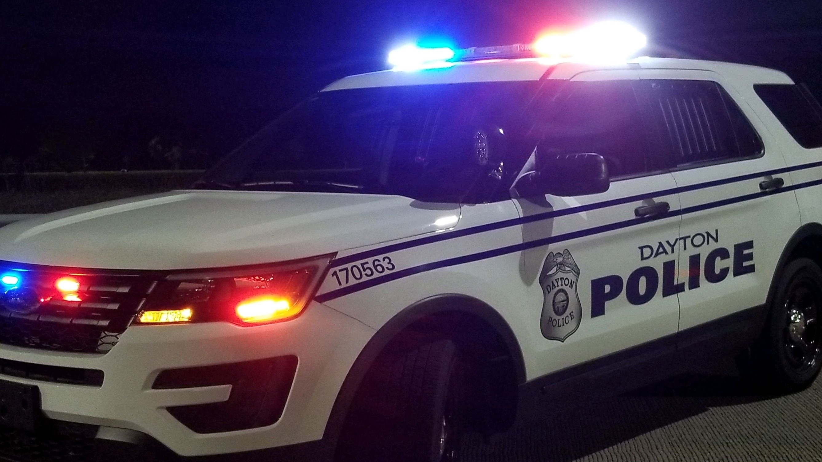 Police cat is the cutest recruit at this police department