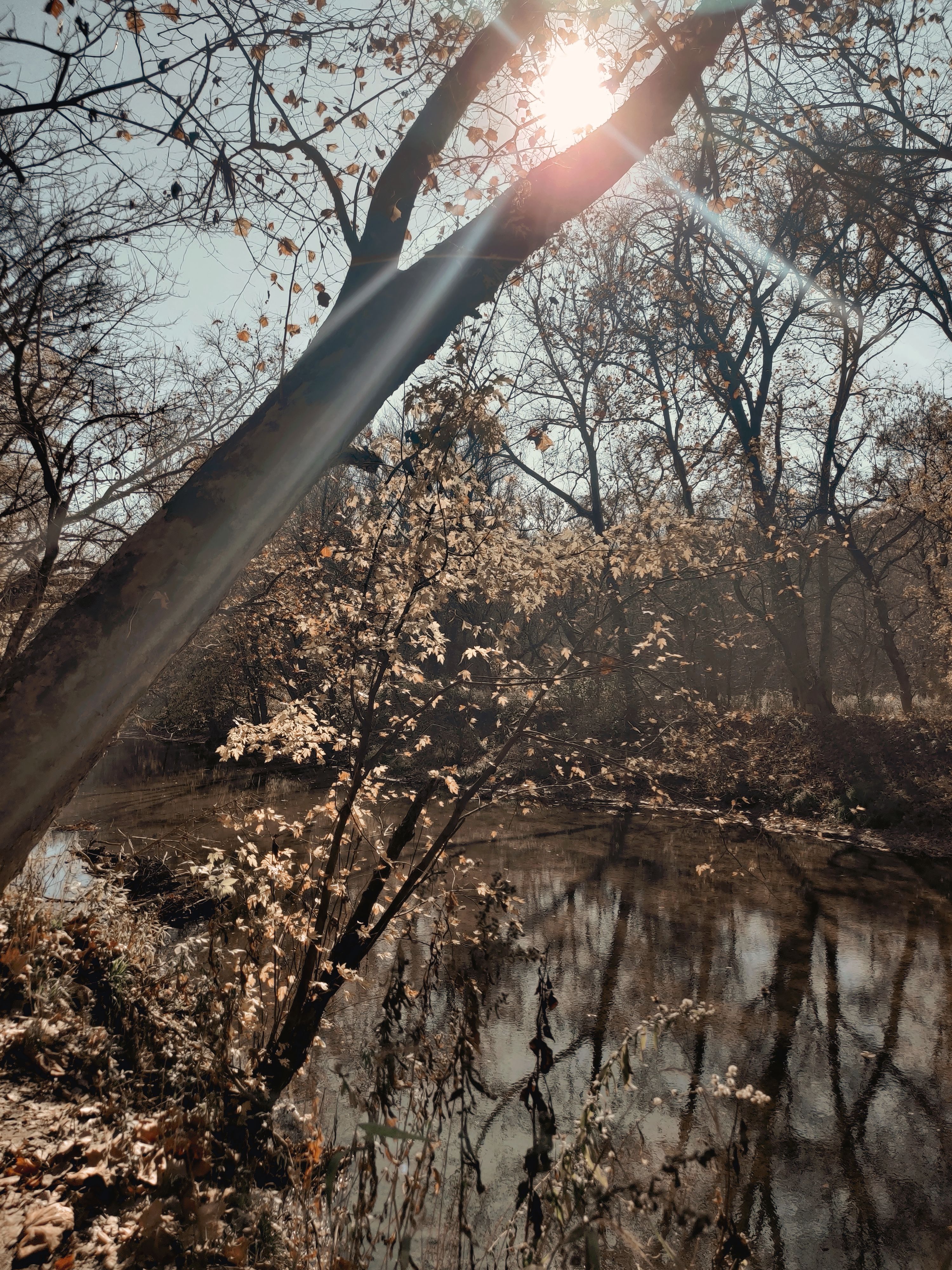 Peace and quiet is easy to come by along the banks of the the Twin Creek. CONTRIBUTED