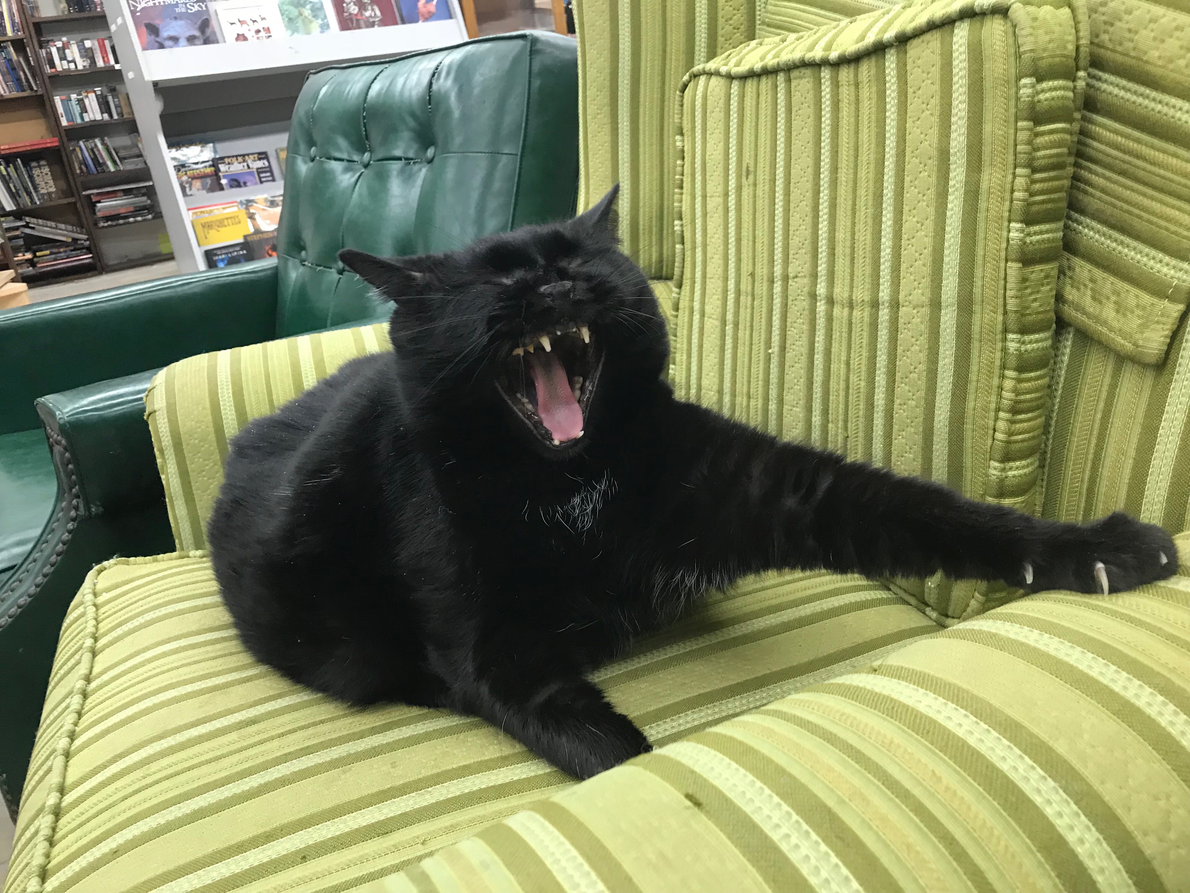 Mr. Eko, Dark Star Book's supervisor, stretches after a hard day's work.