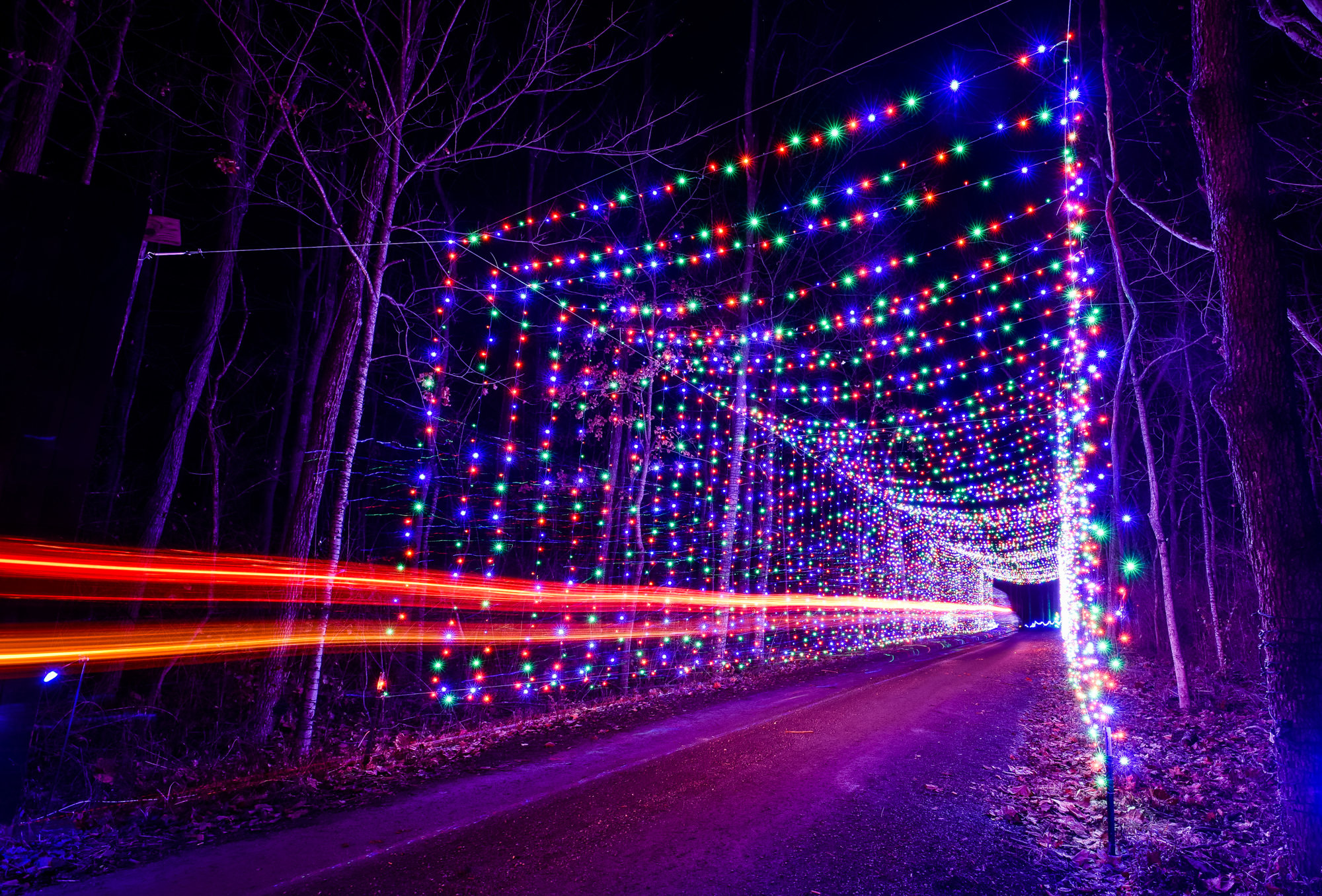 Holiday Lights at Lost Creek Reserve
