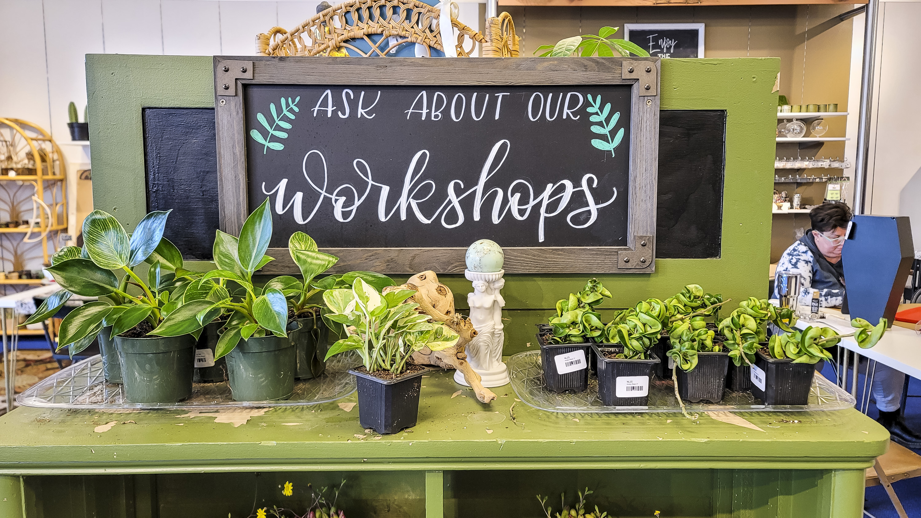 Thimble Gardens plant shop hopes to continue bringing ‘magic’ into homes