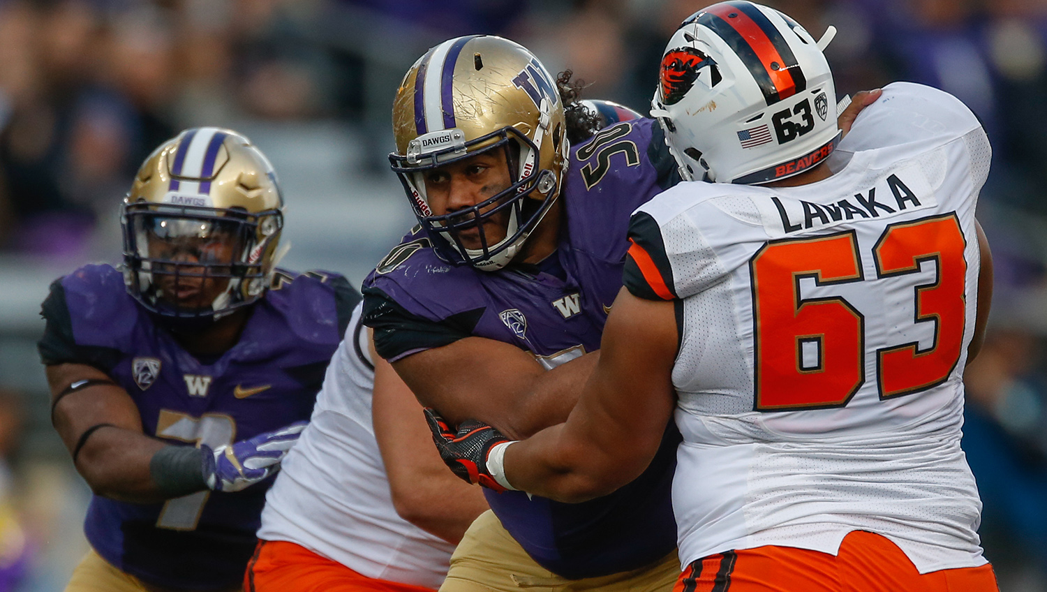 Cincinnati Bengals' first round draft pick, David Pollack