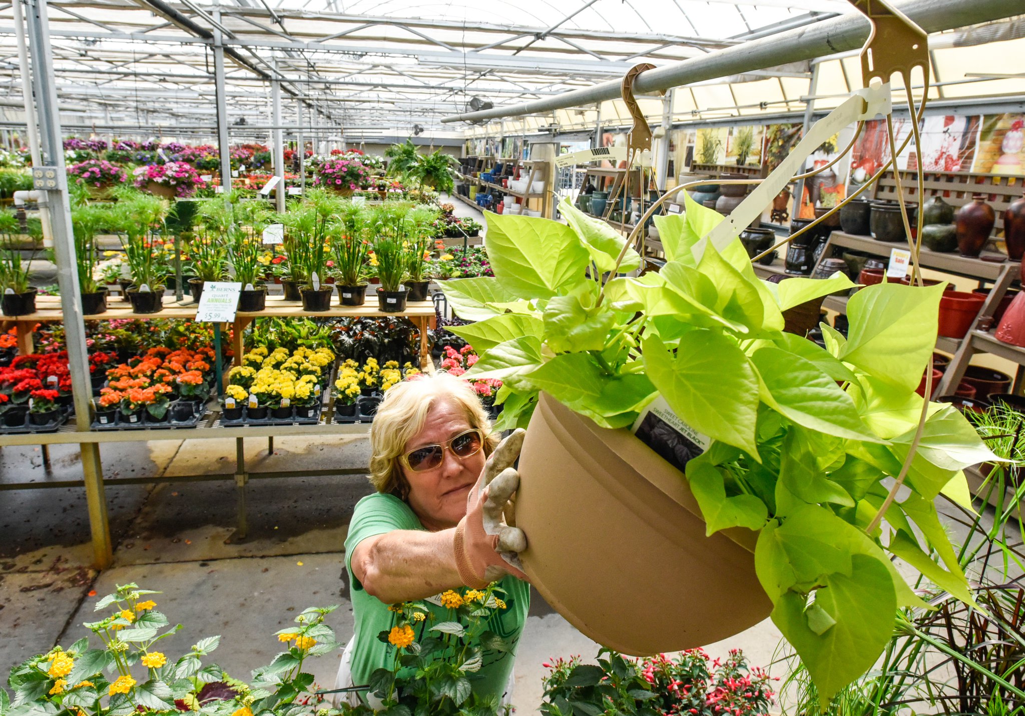 Longtime Middletown Garden Center Berns Continues To Grow