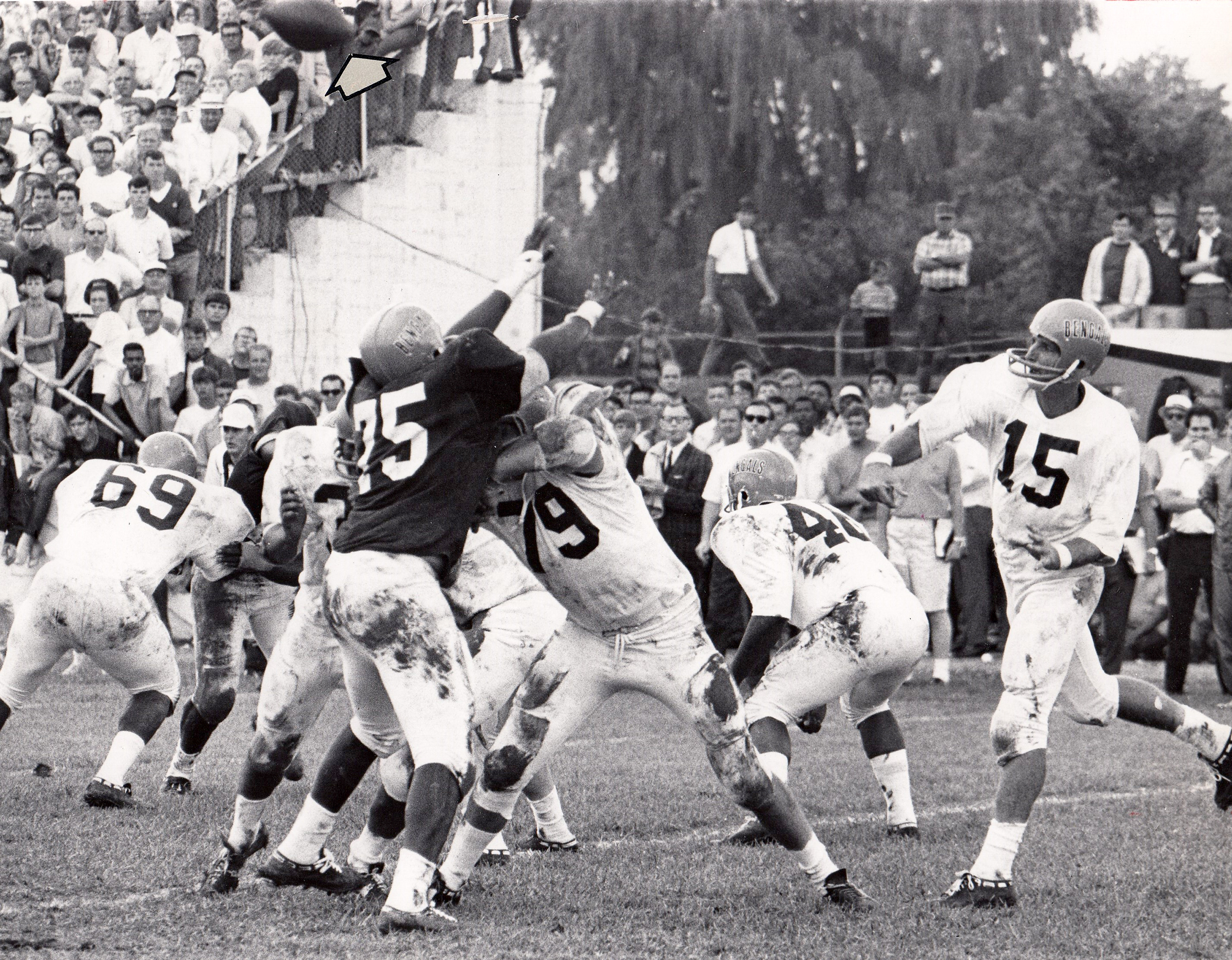 CINCINNATI BENGALS FOOTBALL Linebacker Trio Sports DEFENSE 1969 Press Photo