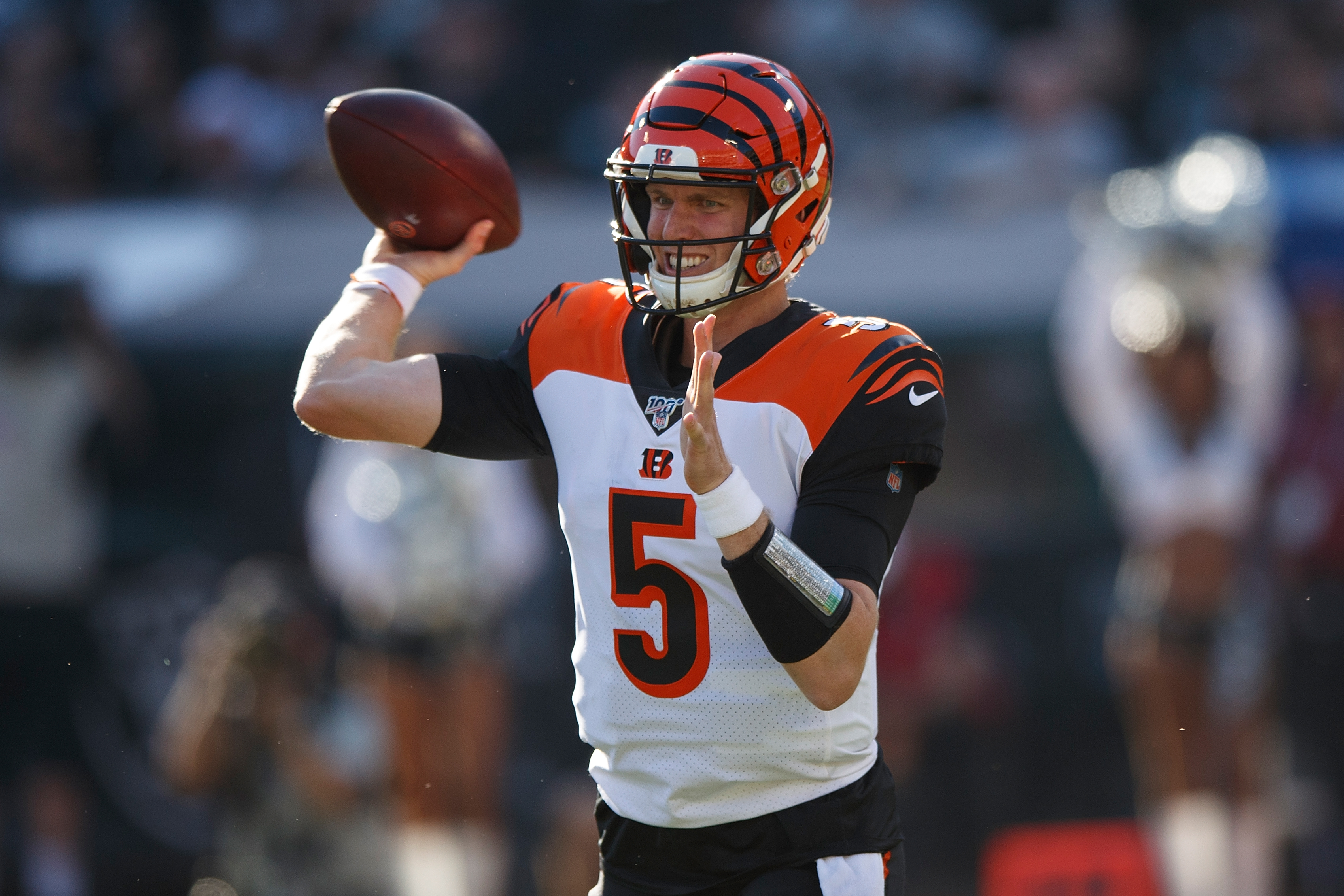 The Bengals fell to the Oakland Raiders 17-10 in Week 11.