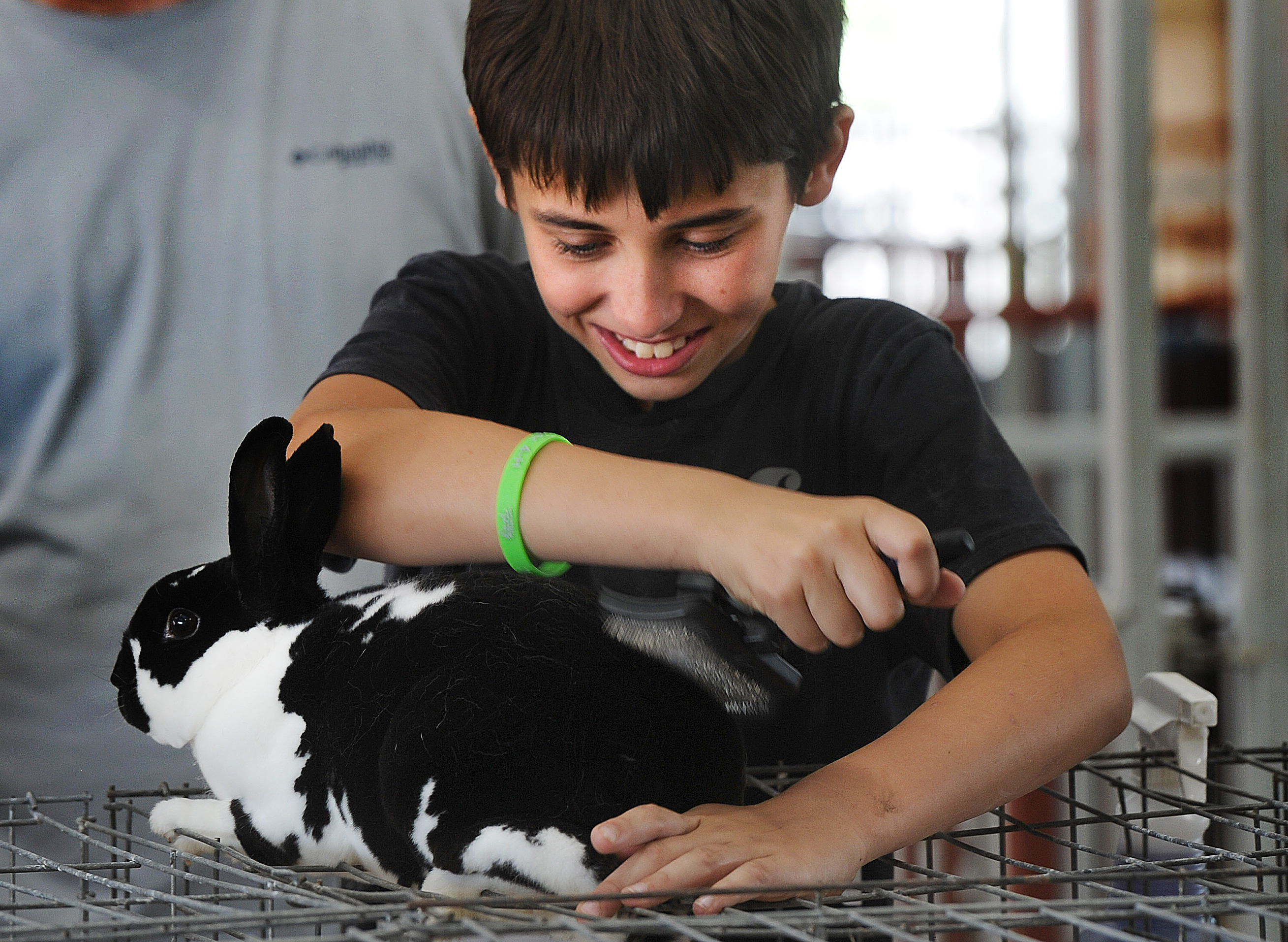 County fair is hard work, fun too; just ask 11-year-old Glenn and his 11  animals