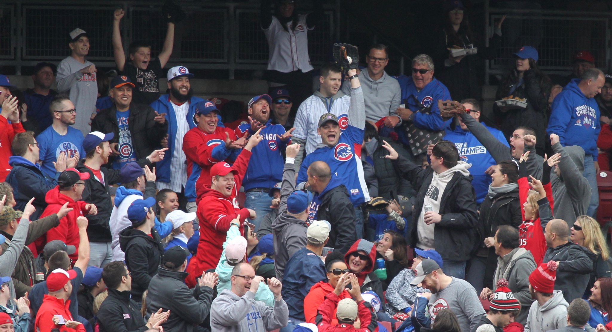 A Cubs fan celebrates after catching a home run hit by the Reds’ Eugenio Suarez on Saturday, April 22, 2017, at Great American Ball Park in Cincinnati. David Jablonski/Staff