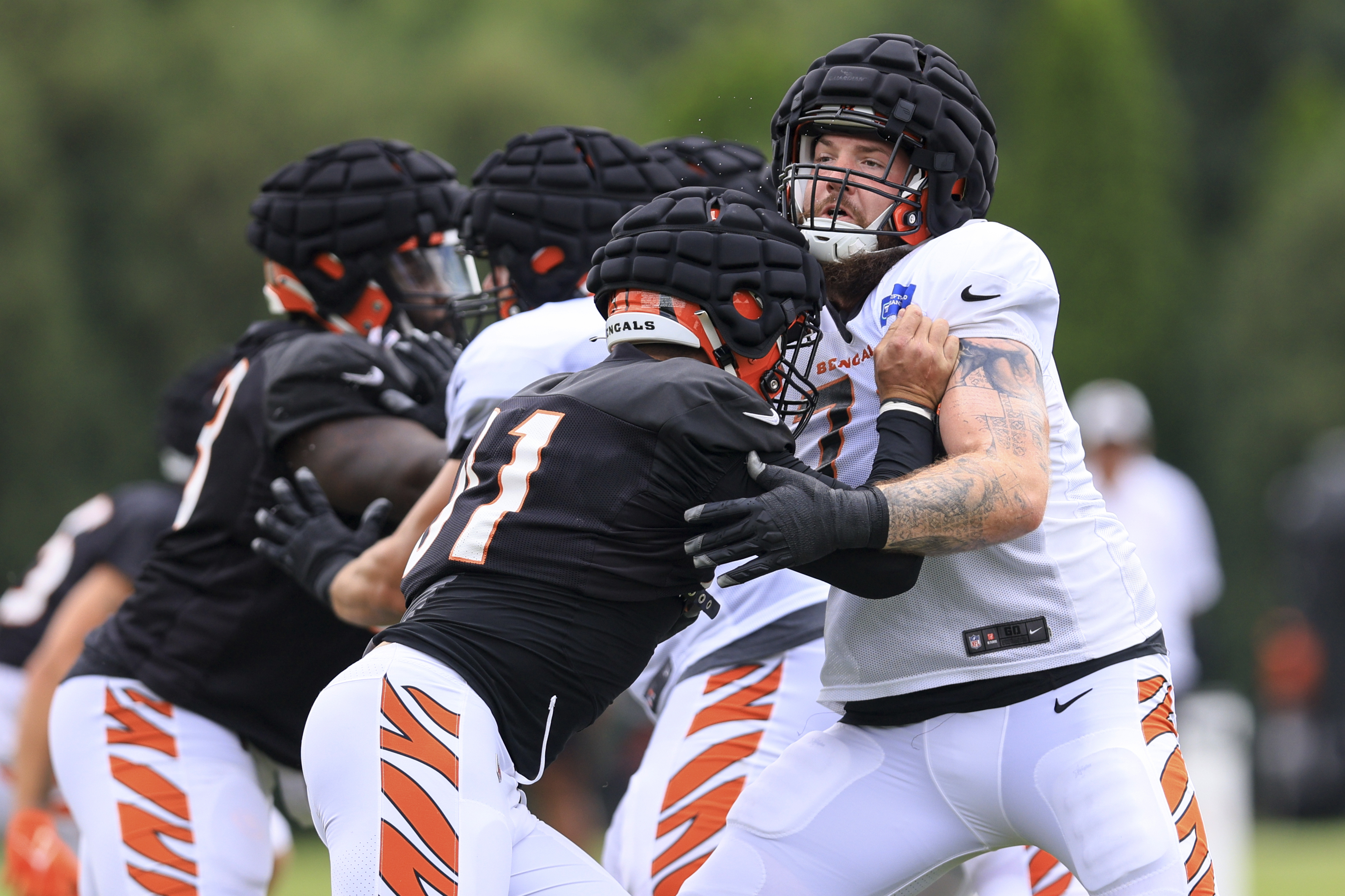 Joe Burrow Smokes Cigar As Bengals Celebrate Winning Division