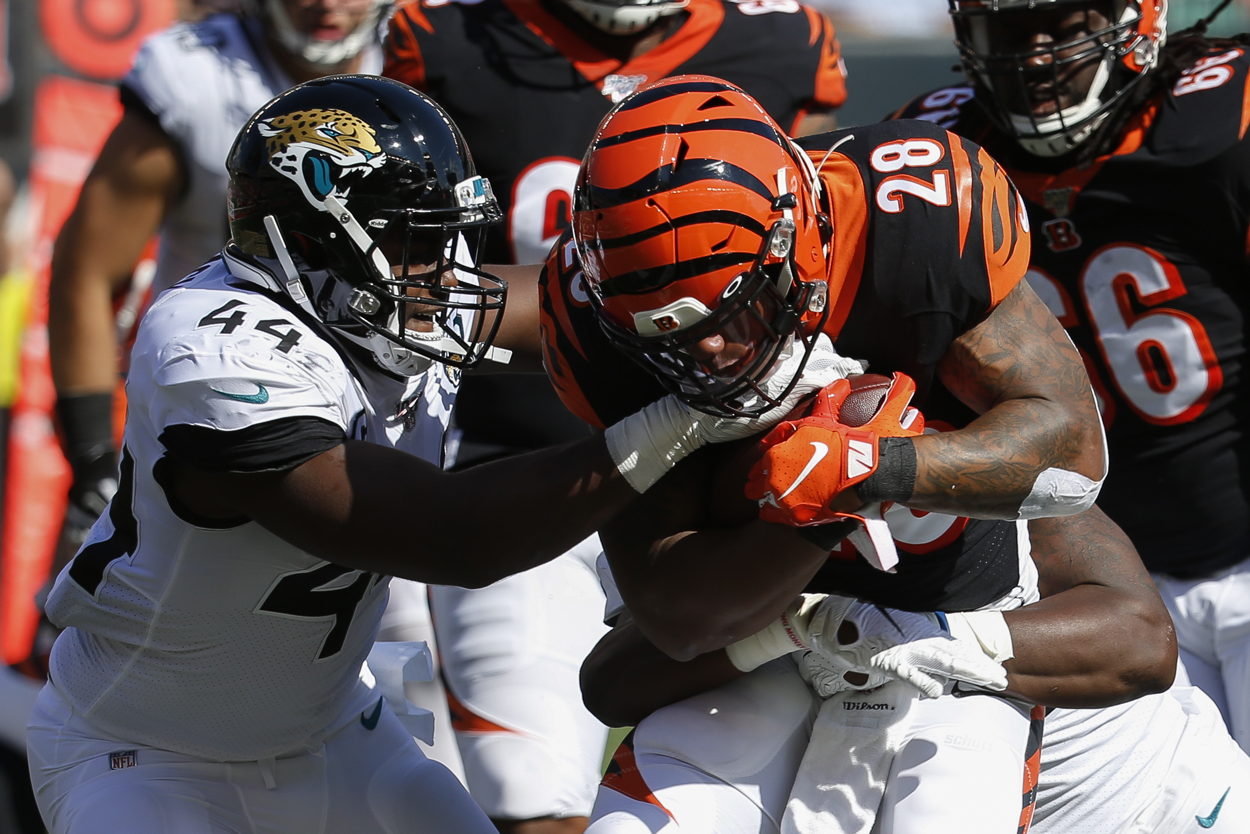 Gardner Minshew, Defense Lead Jaguars Over Bengals