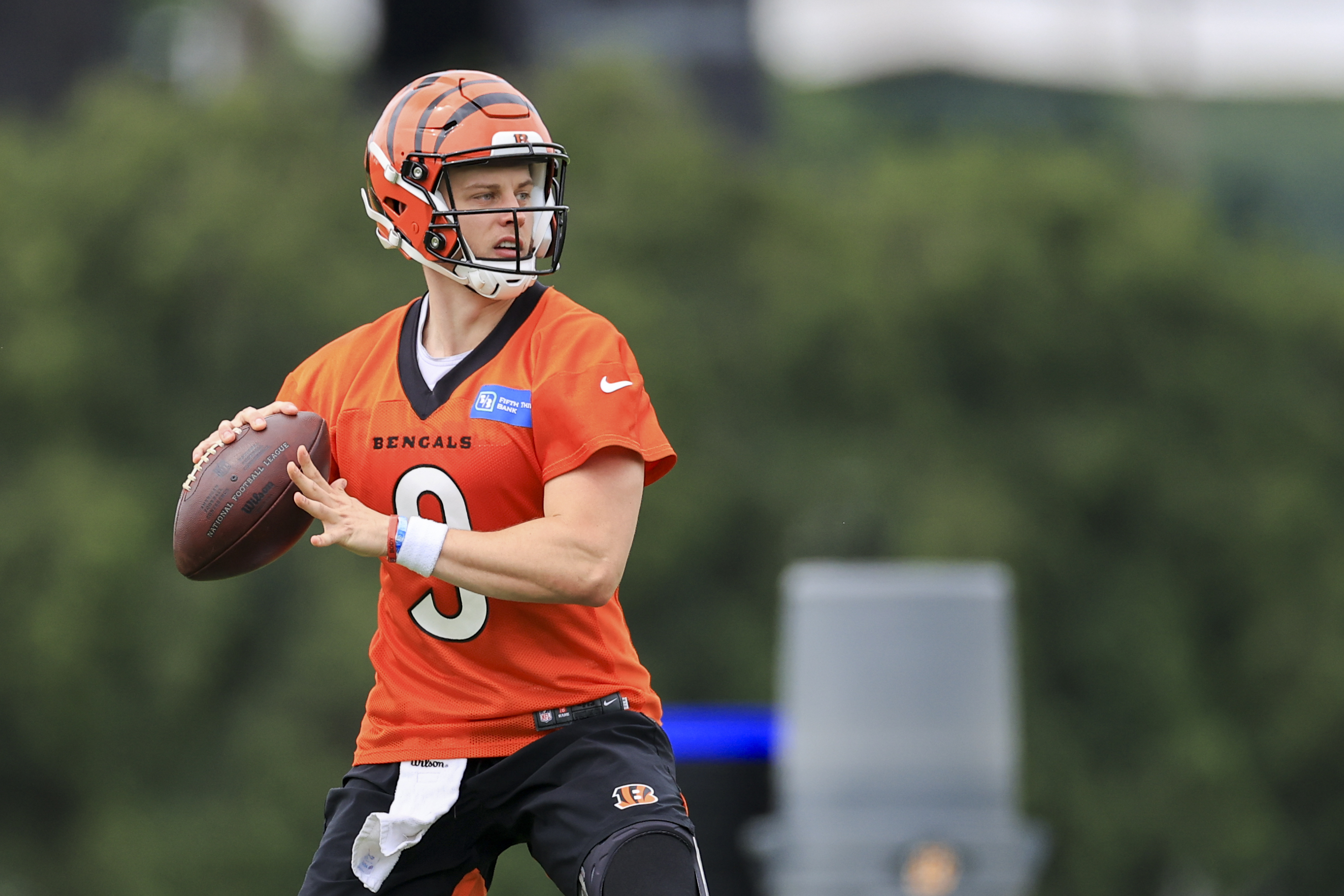 Bengals QB Joe Burrow suffers torn ACL, MCL in left knee