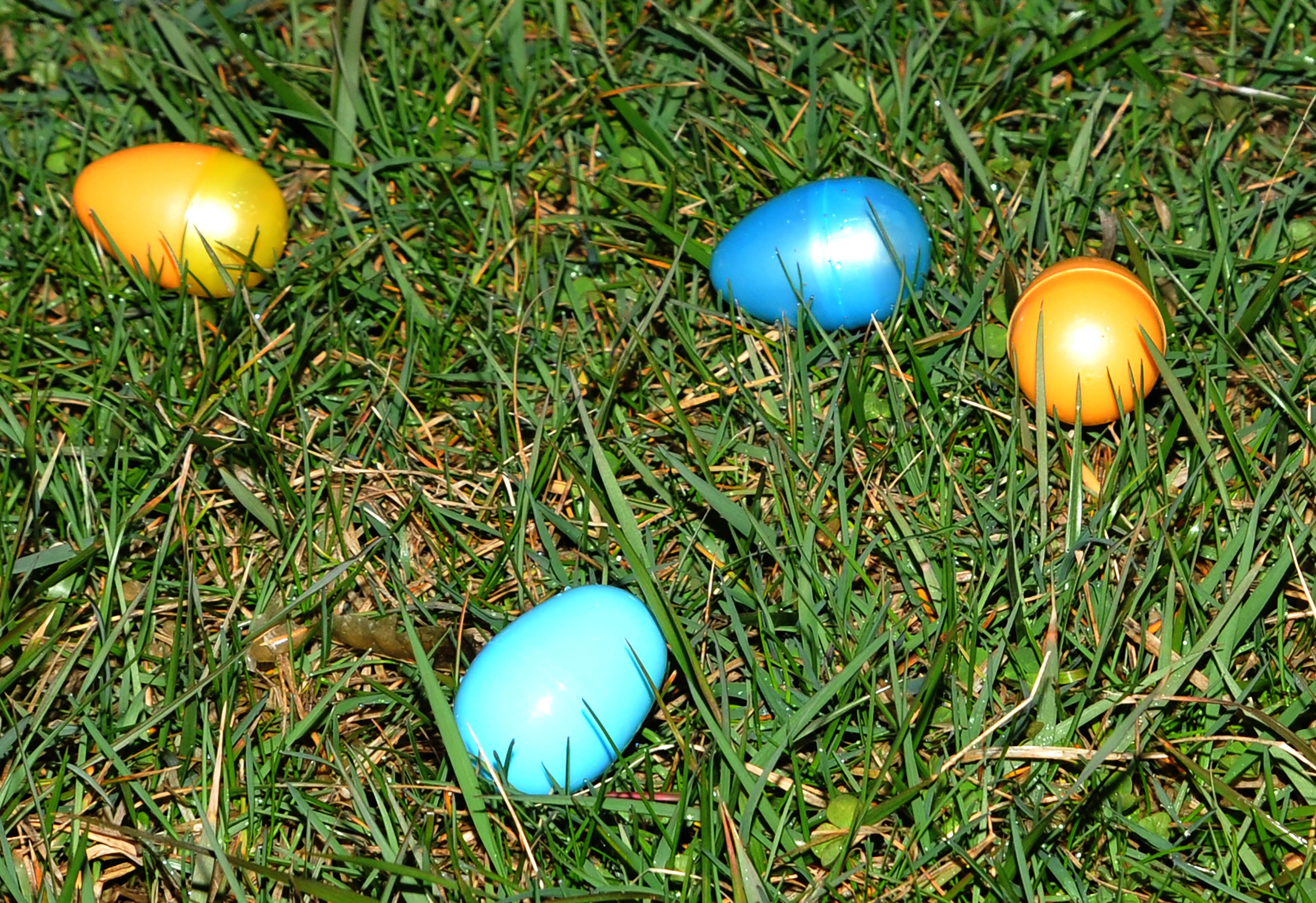 Easter egg hunt for children in Butler and Warren county