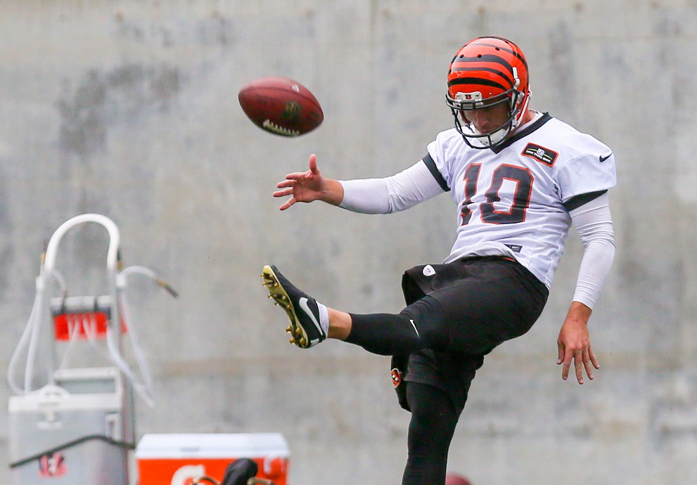 Punter Kevin Huber is enjoying one of his best seasons with the