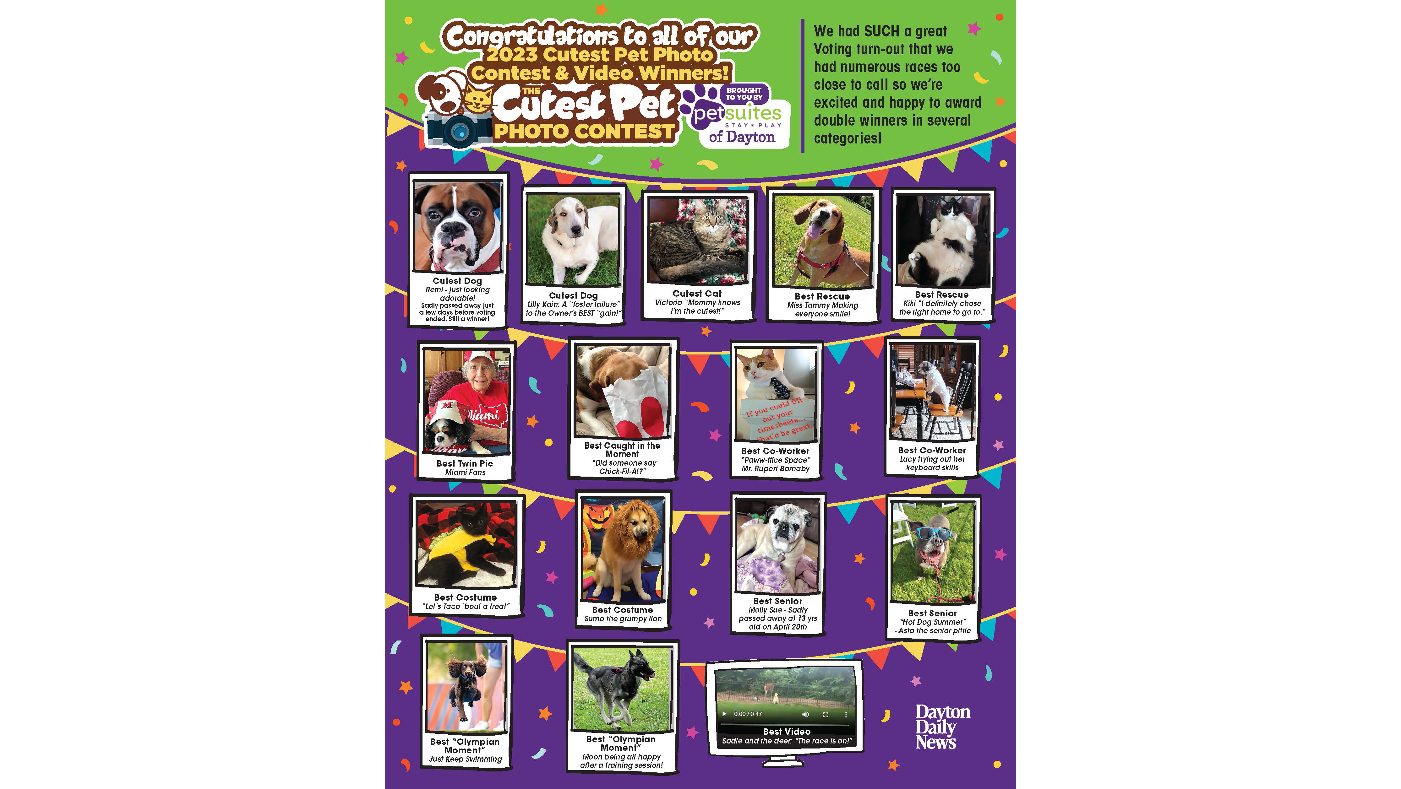 Cleveland Browns' dog logo contest finalists: How to vote