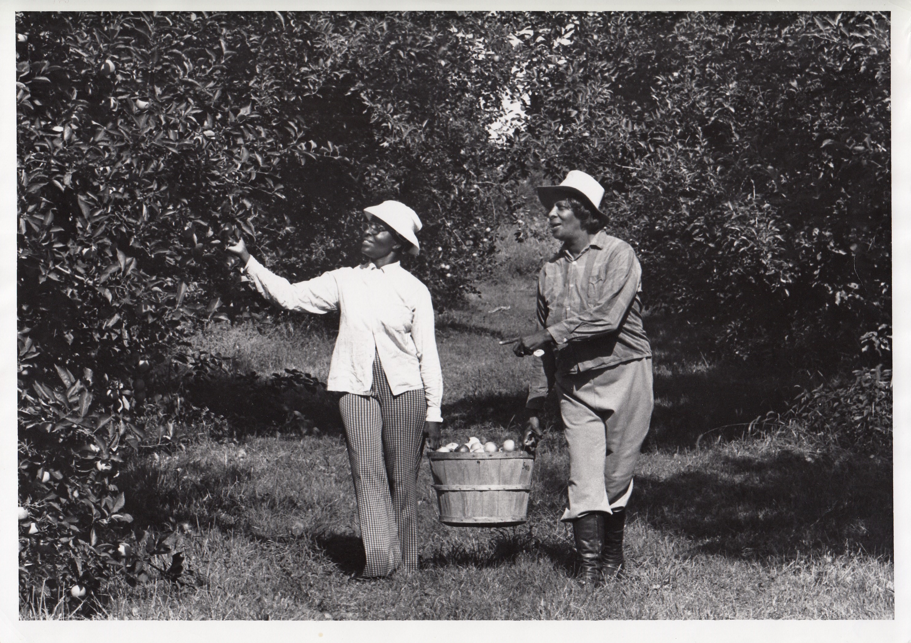 Monnin’s Fruit Farm was founded by Phyllis and Roger Monnin in 1961. The couple's sons Nick and Glenn are now at the helm. In this 1980 photo, Marian Gilmore and Sarah Riley went apple picking. The sisters picked many bushels of apples for cobblers, pies and apple sauce.