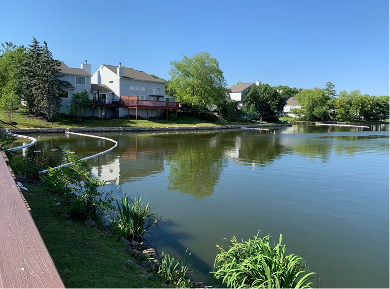 Environmental crew cleaning up local lake following dump truck crash