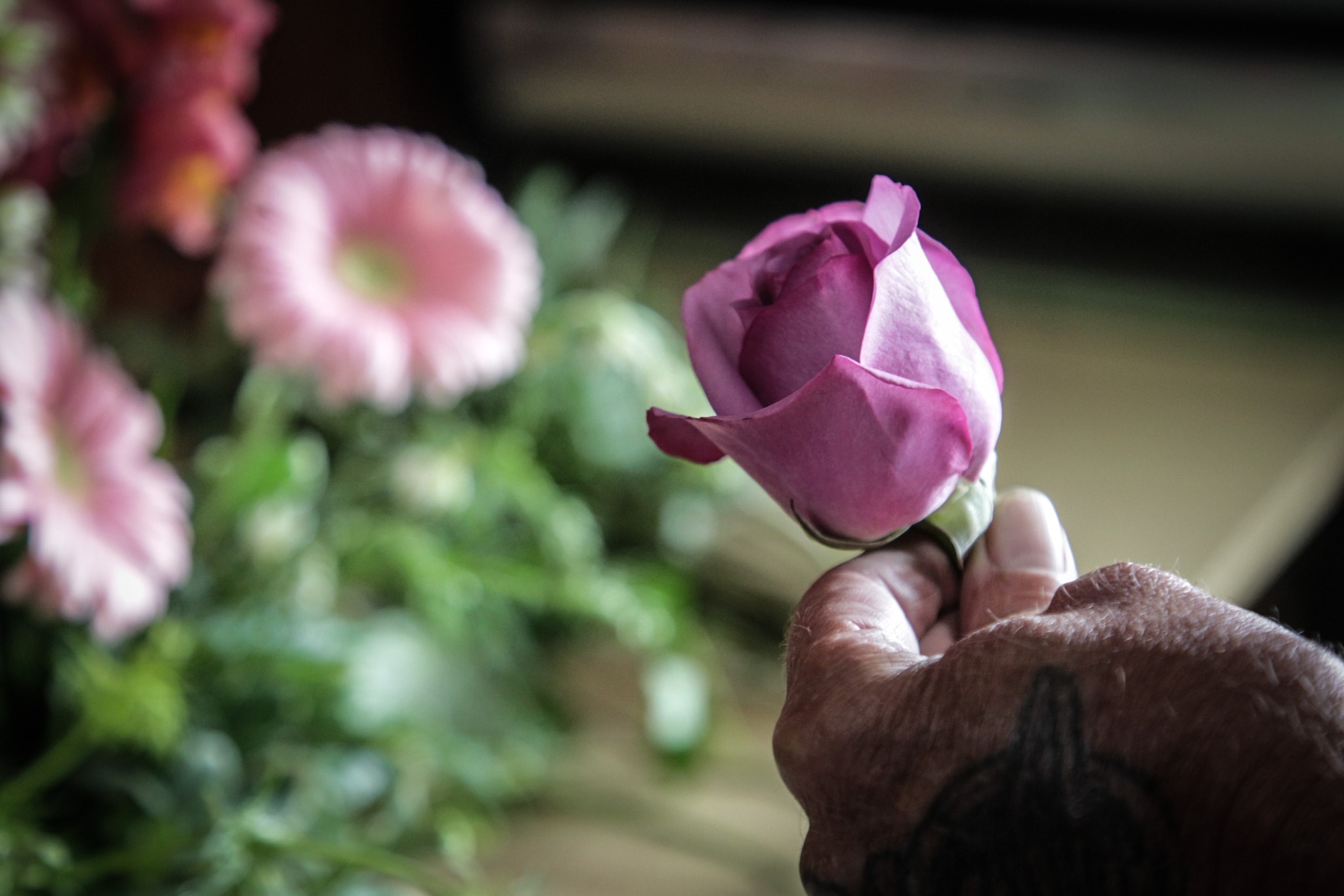 Dayton florist are experiencing some price hikes and lack of certain varieties in the supply chain. JIM NOELKER/STAFF