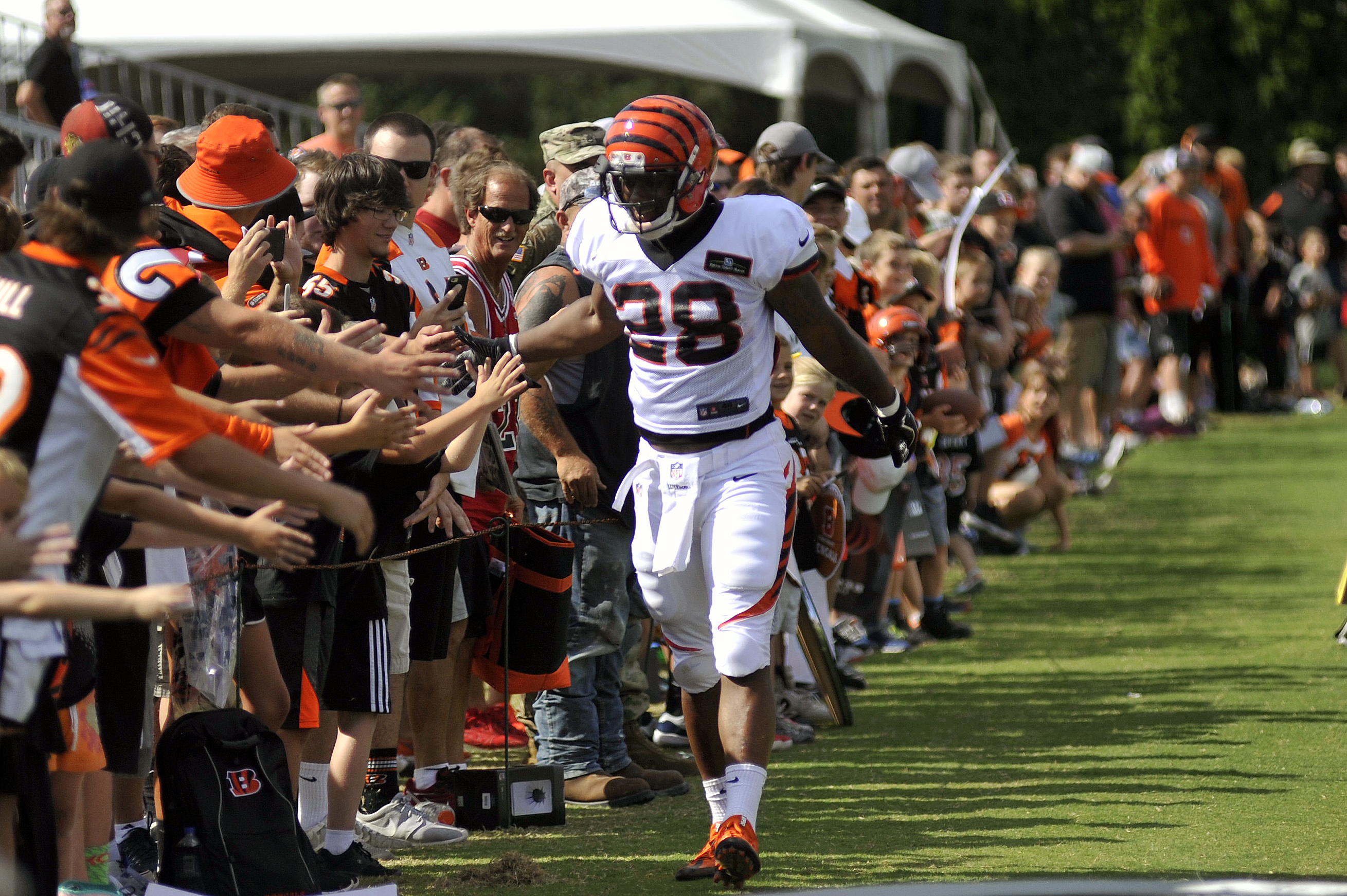 Training Camp Observations from the Bengals “Back Together