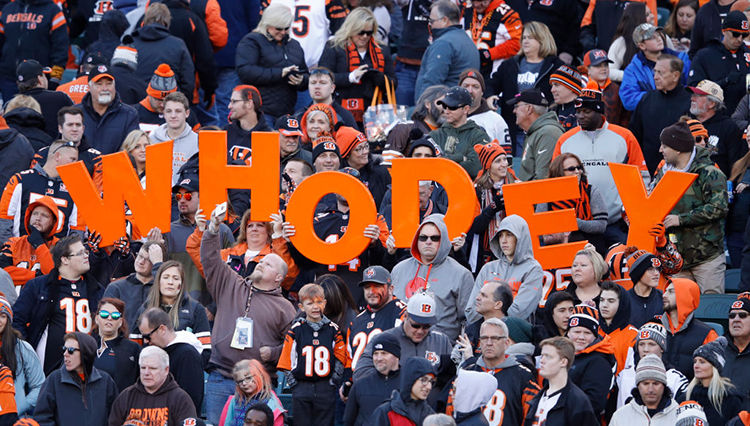 Bengals announce new season-ticket plan with cheaper preseason tickets -  Cincy Jungle