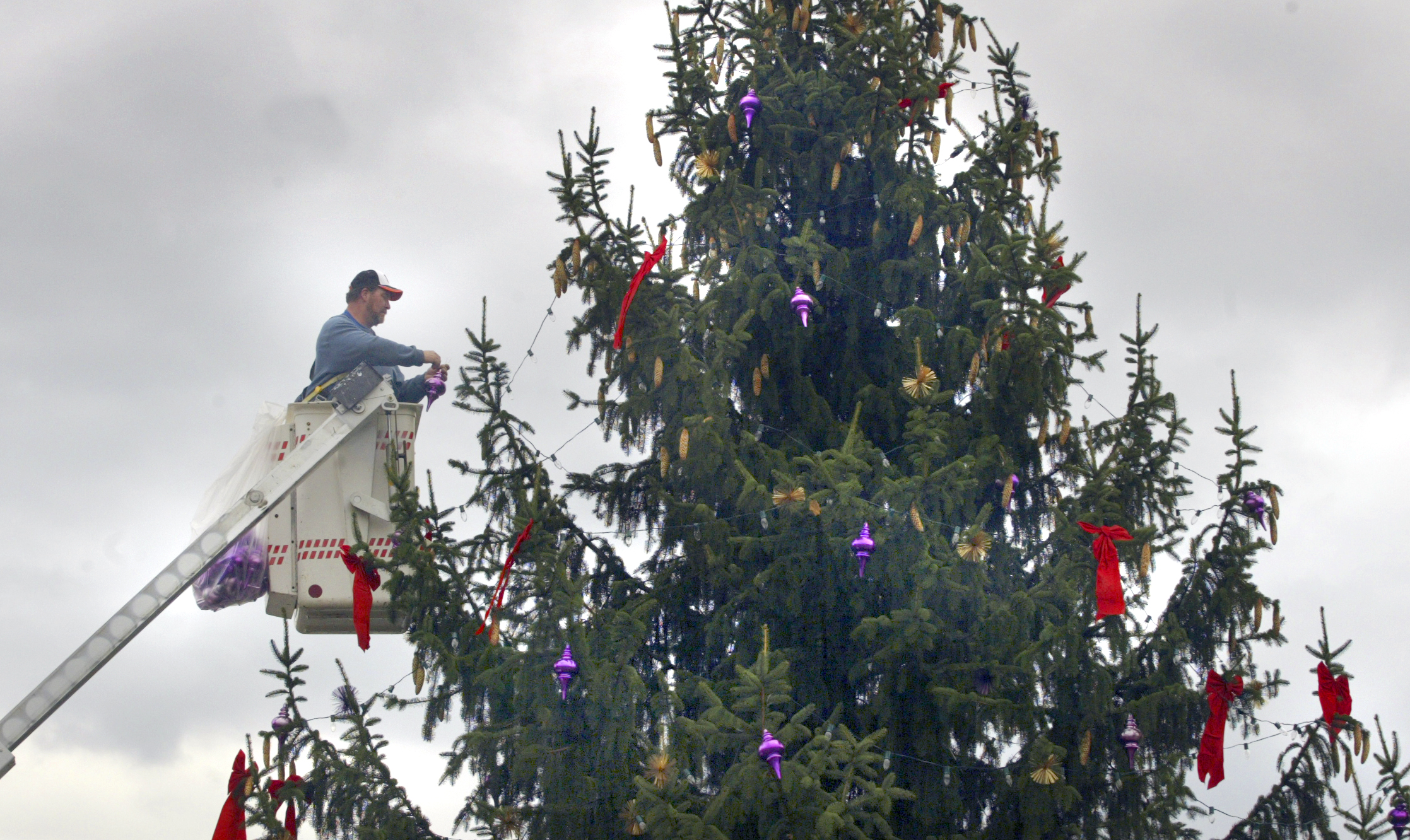 111505---Kent Haller of the Fairborn Plant Maintenance Department decorates the holiday Christmas tree on Central Ave. It will take about 2 days. It has 300 lights and hundreds of ribbons and bulbs. The pine cones are real. The tree is about 40 feet tall and was taken from Fairborn's Fire Station 3.The lighting ceremony will be on Friday, Nov. 25. STAFF PHOTO BY BILL REINKE.