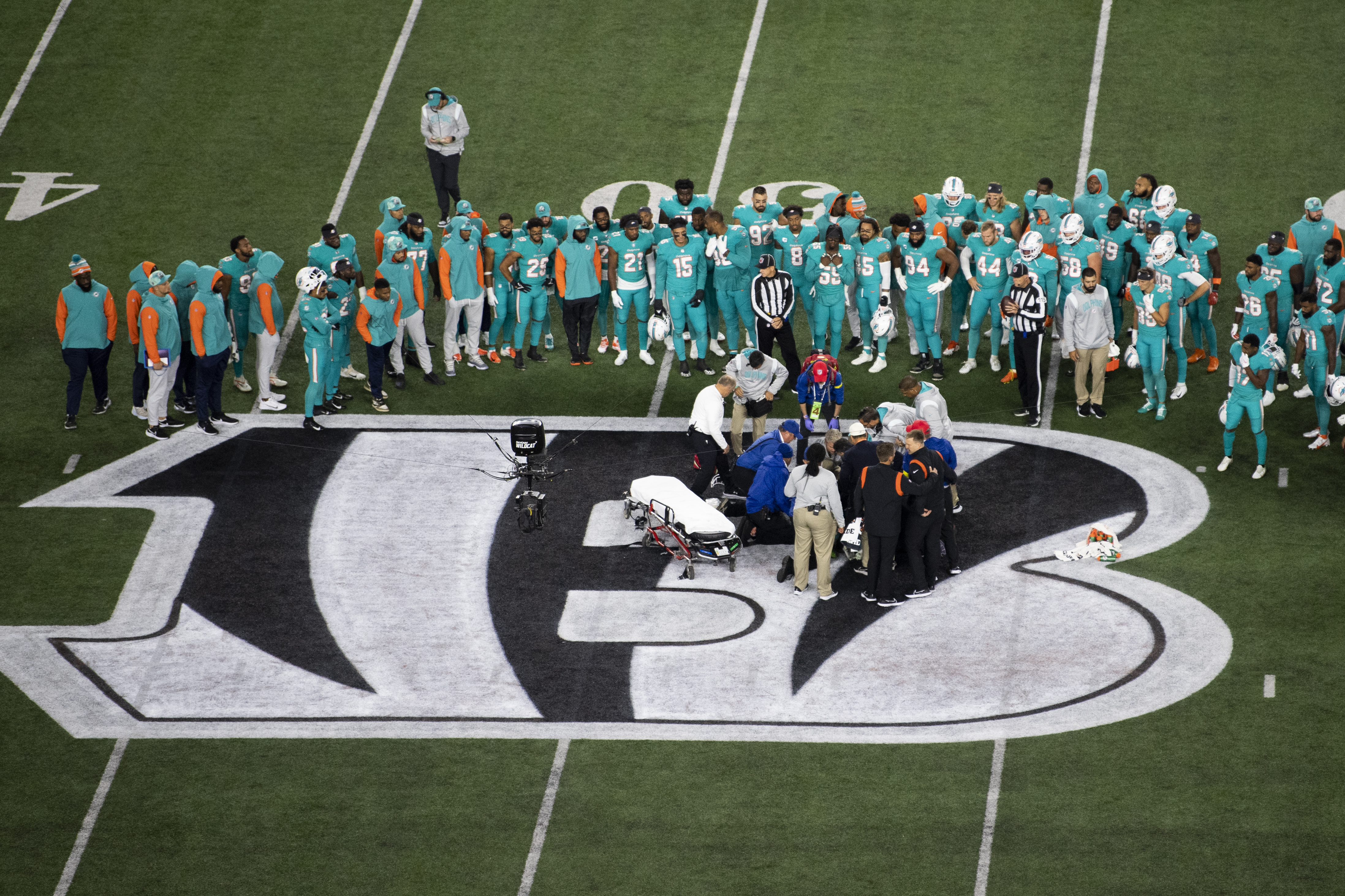 Record Paycor Stadium Crowd Watches Bengals Knock Dolphins From