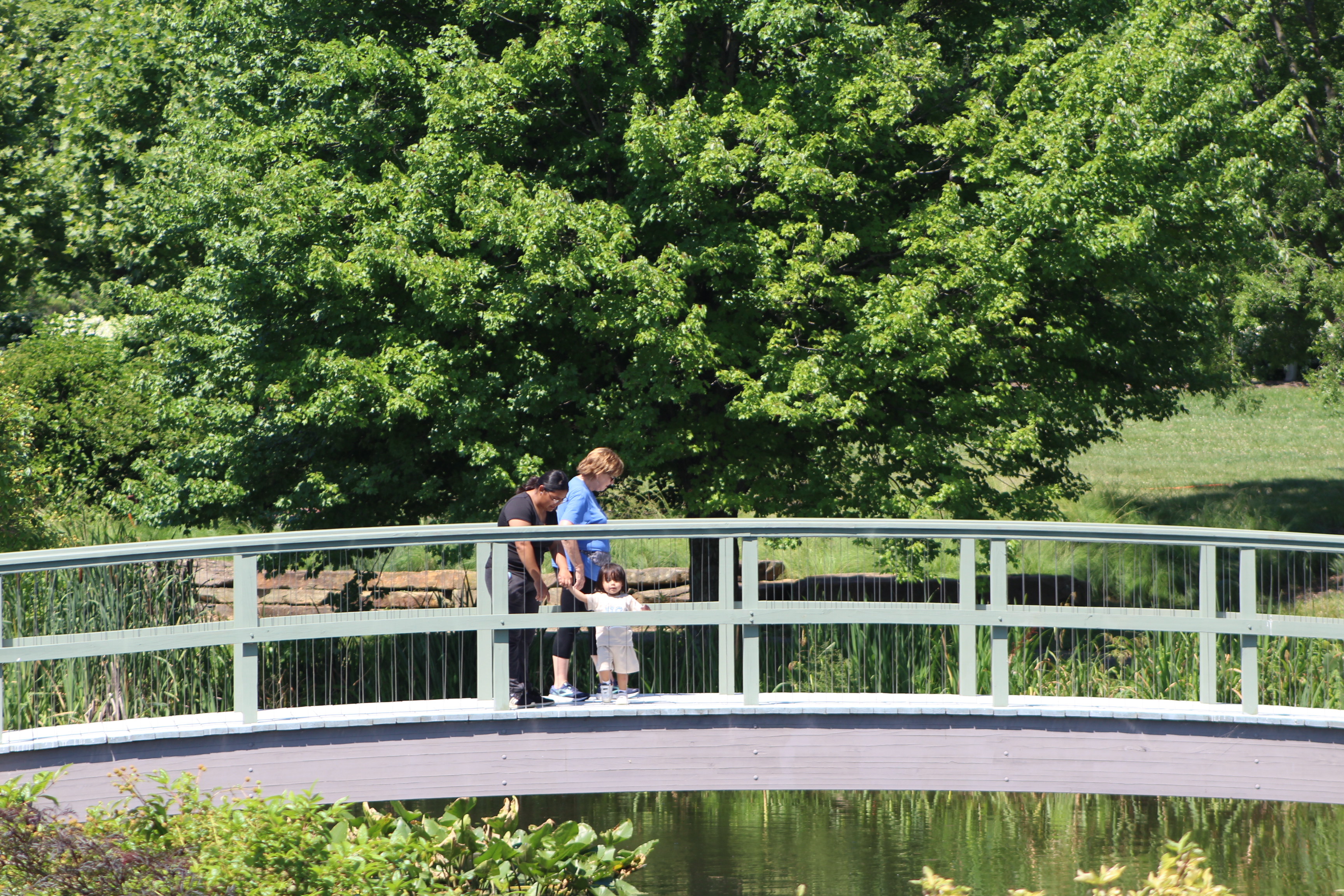 Visitors walk across the Monet bridge at Cox Arboretum MetroPark. CORNELIUS FROLIK / STAFF