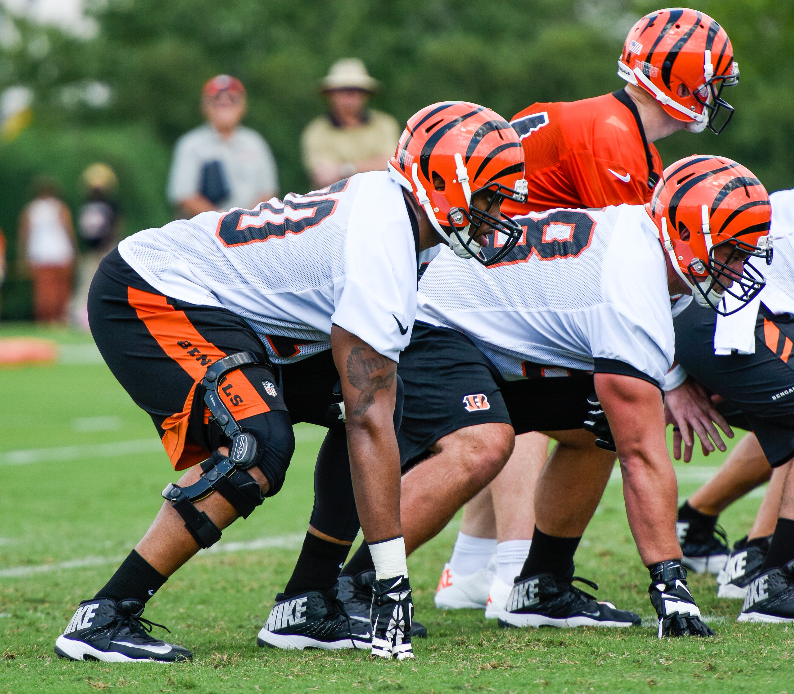 Ogbuehi, Porter to begin practicing for Bengals