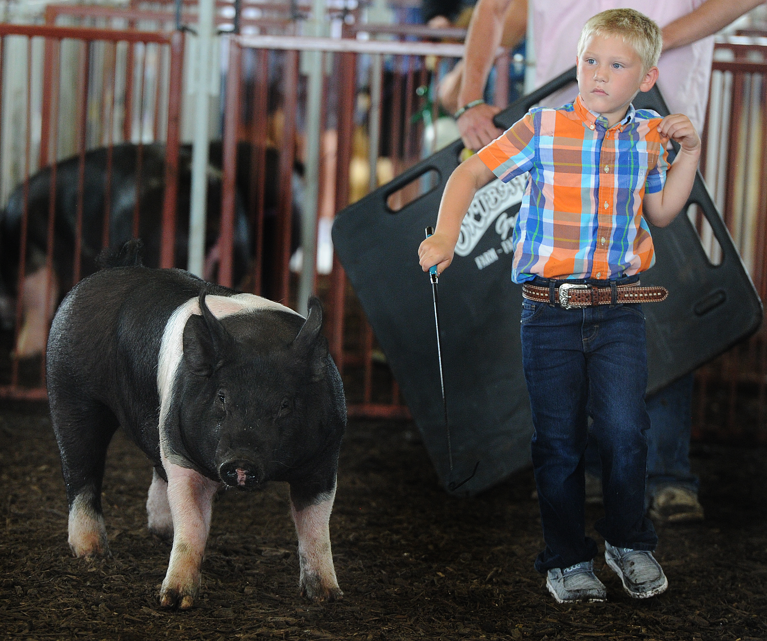Kooper Tilton, 6, keeps his eyes on the judge during the middle weight Barrow class Wednesday, July 14, 2021 at the Montgomery County Fair.  MARSHALL GORBYSTAFF