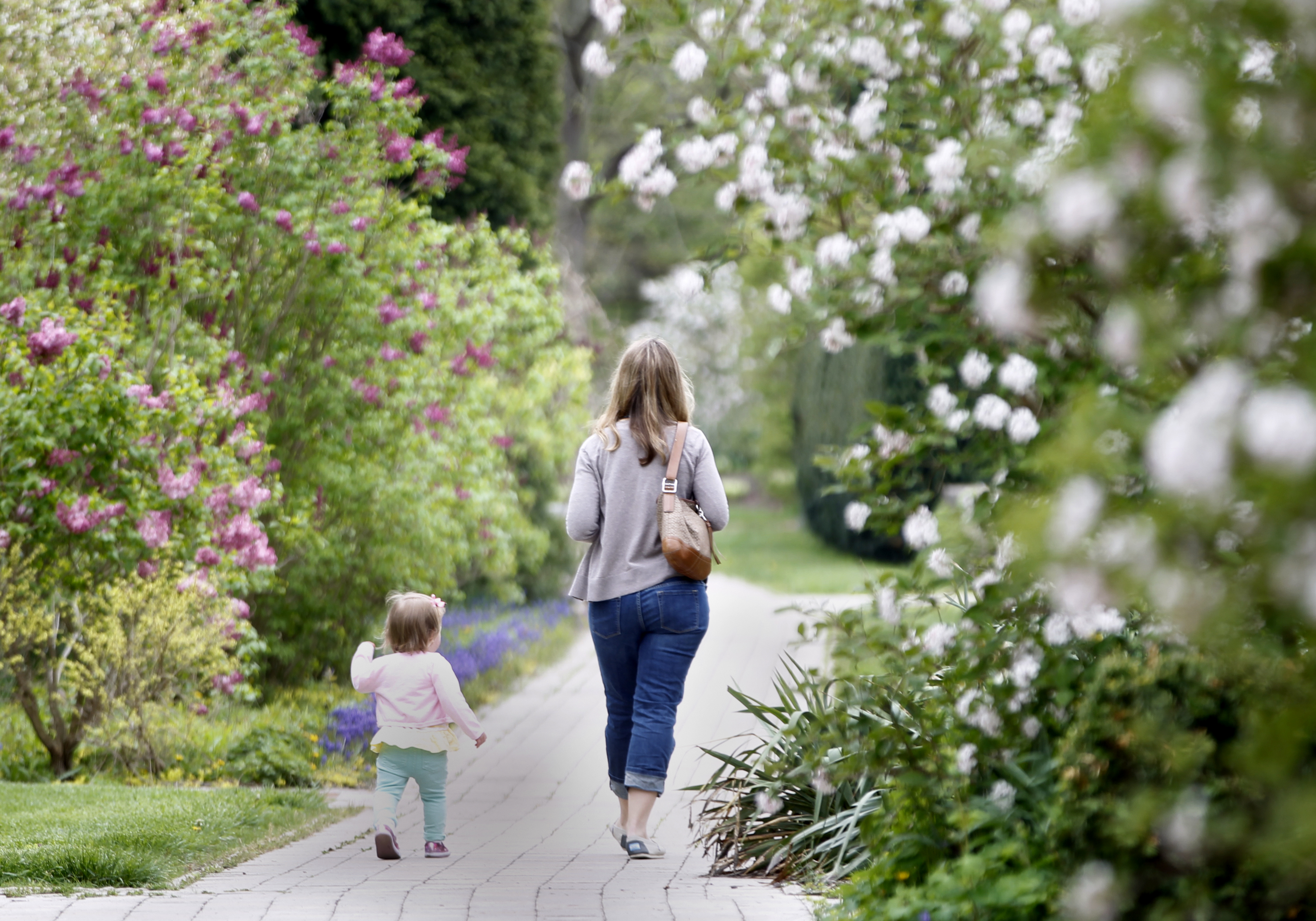Blooming plants and trees at Wegerzyn Gardens MetroPark in Dayton create a frame of color around Sarah Hibner of Dayton and her one-year-old daughter Isabelle as they take a walk through the park Monday. According to Storm Center 7 meteorologist Rich Wirdzek the next couple of days will be in the high 70's. LISA POWELL / STAFF