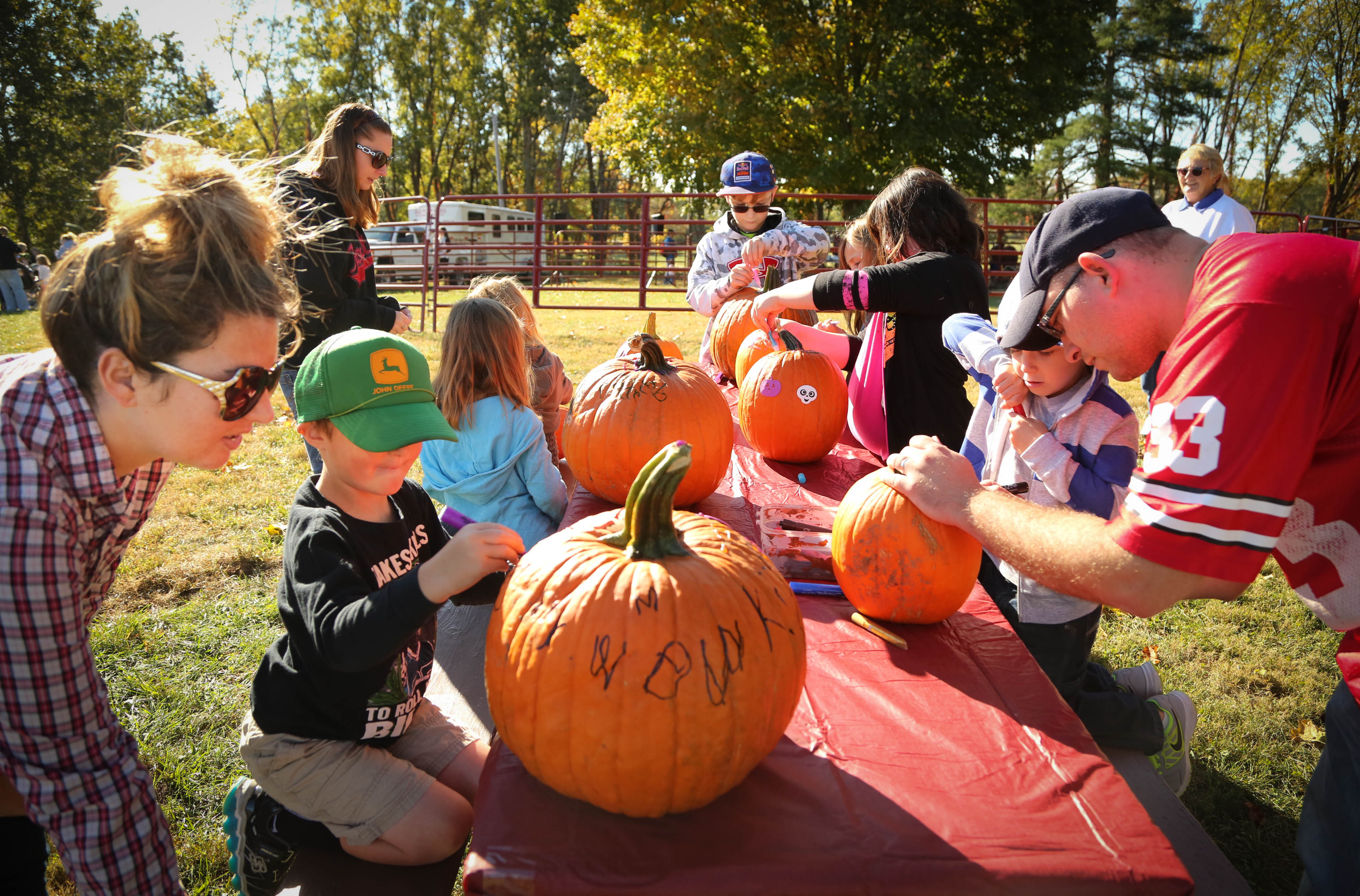 Kids and parents decorate pumpkins at the Fall Farm Fest at Lost Creek Reserve Saturday. The Miami County Park District hosts their biggest event of the year at the historic Knoop Homestead for thousands of people who attend the two day festival celebrating the agricultural heritage of Miami County. JIM WITMER/STAFF