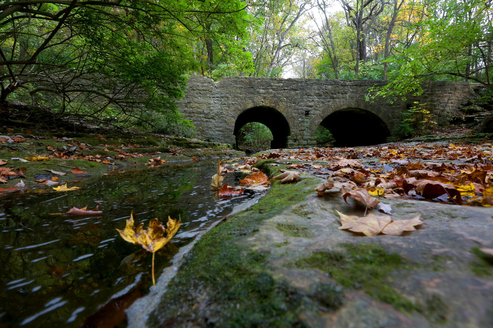 The Glen Helen Association sought $750,000 for accessibility improvements to the Glen Helen Nature Preserve, and it will receive that amount in the state's capital budget. FILE PHOTO