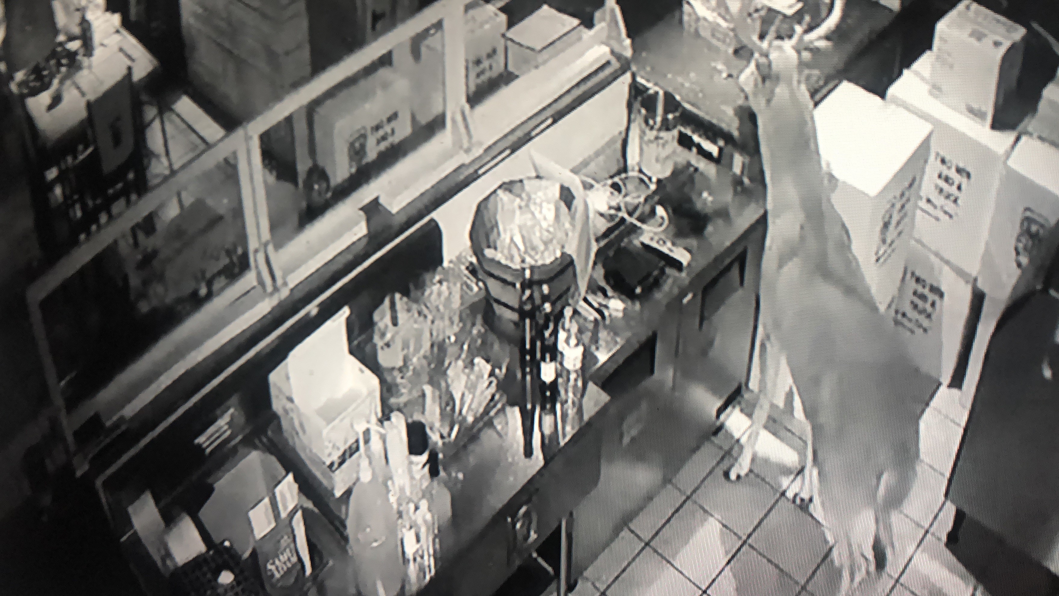 A buck smashed through the storefront window of Texas Beef & Cattle on West Third Street in the Wright Dunbar business district. CONTRIBUTED