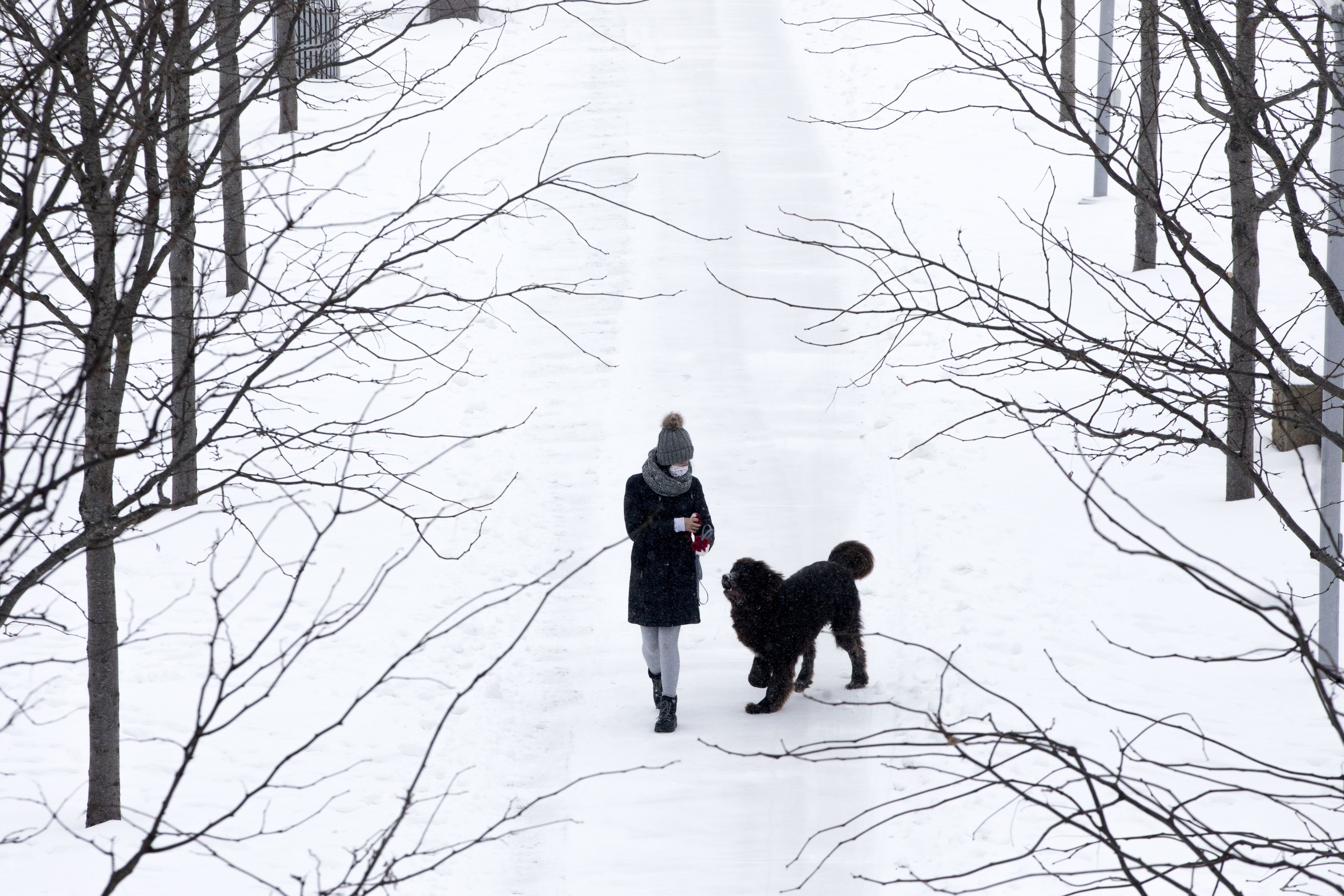 Joelle Curtis walks her dog through the snow on Monday, Feb. 15, 2021, at Smale Riverfront Park in Cincinnati. The National Weather Service issued a winter storm warning starting Monday and going through Tuesday with heavy snow expected. (Albert Cesare /The Cincinnati Enquirer via AP)