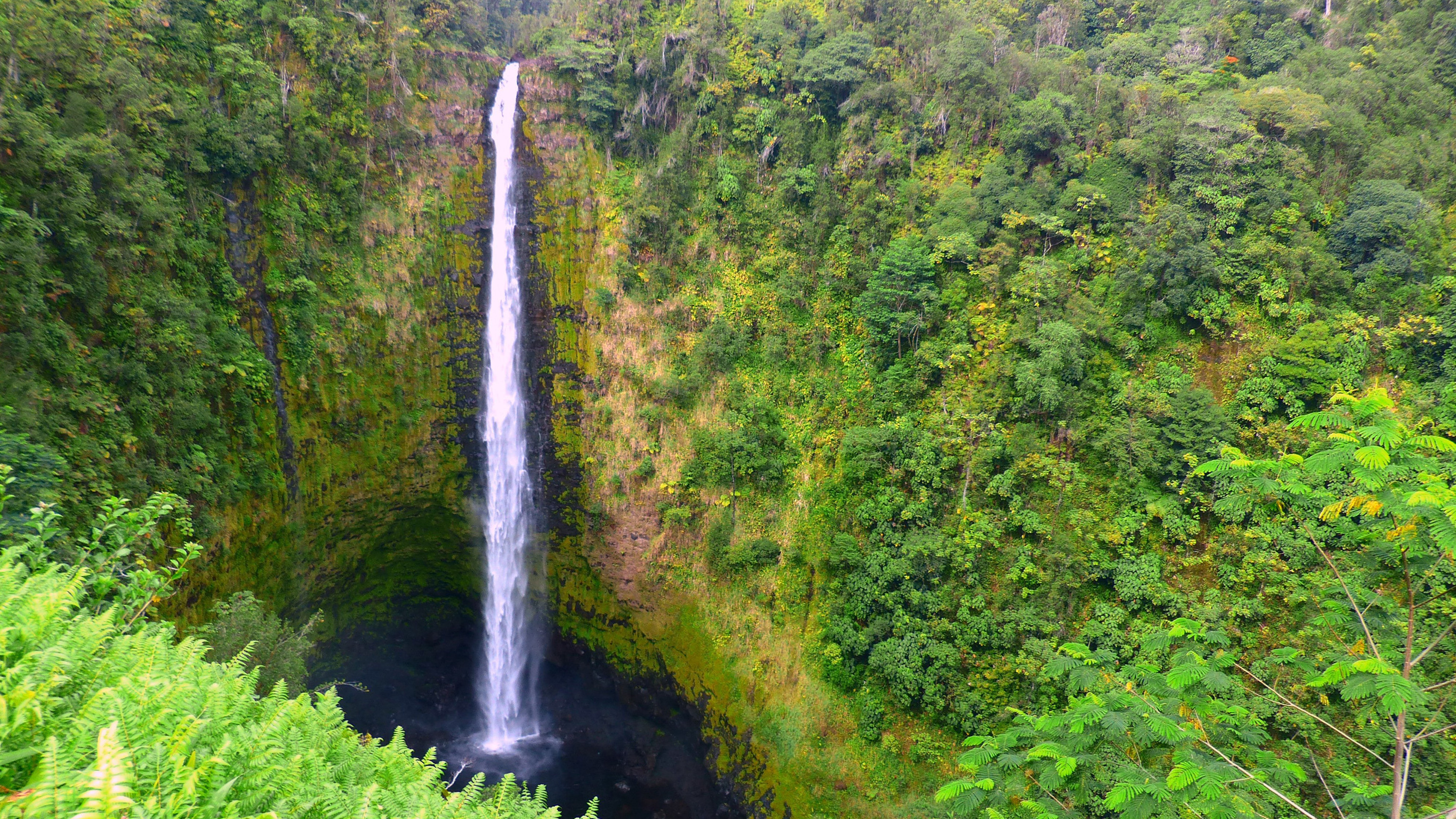 Historic Hilo Bay & Waterfalls Kayak Tour