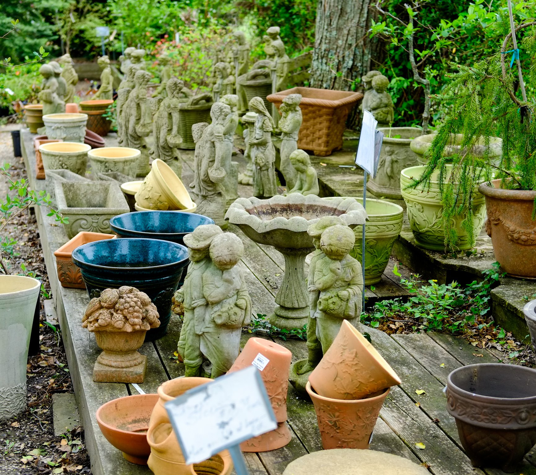 Mary's Plant Farm & Landscaping is a family business that was started 41 years ago and is still run by owner Mary Harrison, who is 95 years old.
