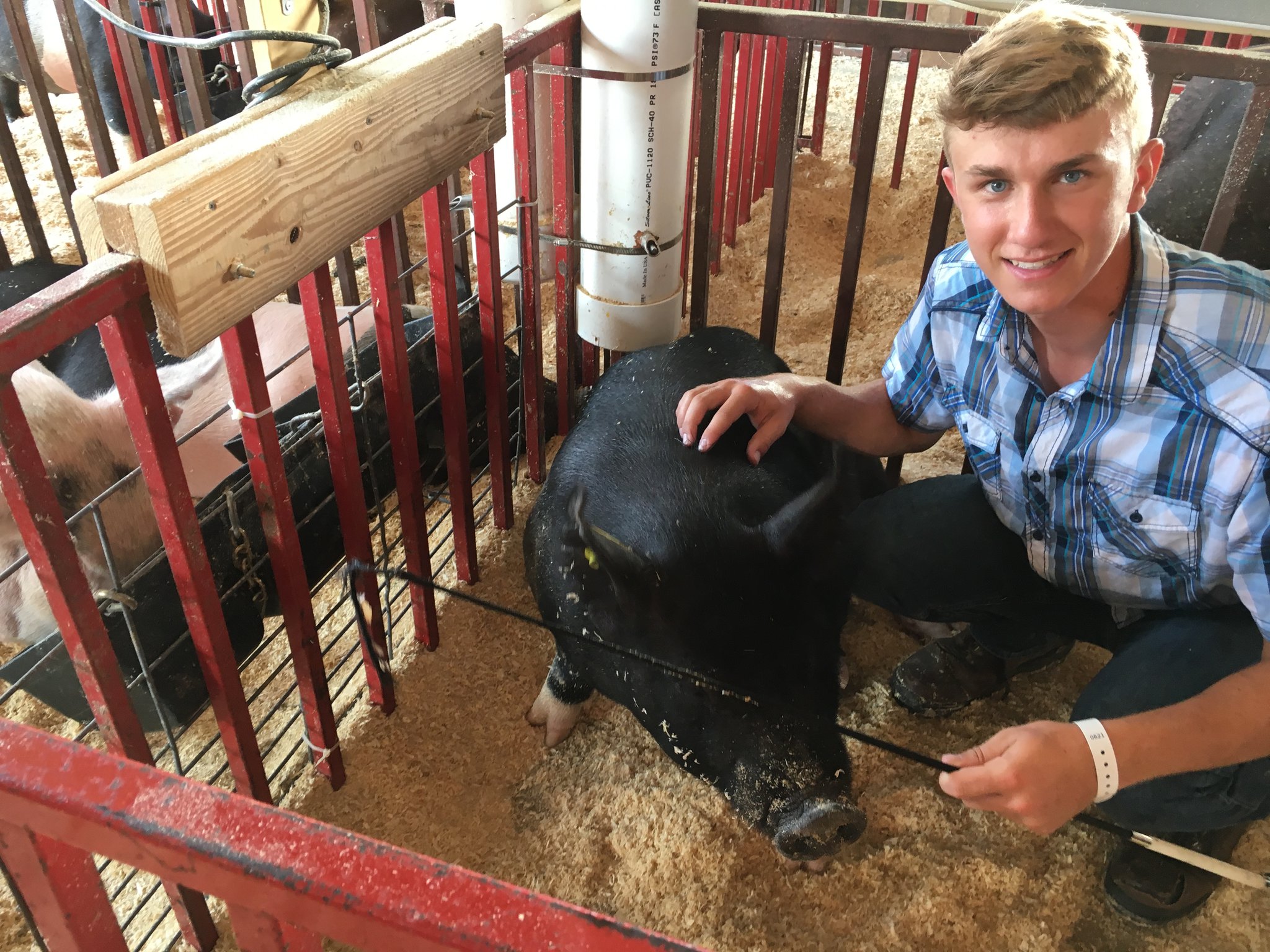 Braden Wright with his no-named pig at the Butler County Fair opening day Sunday.
