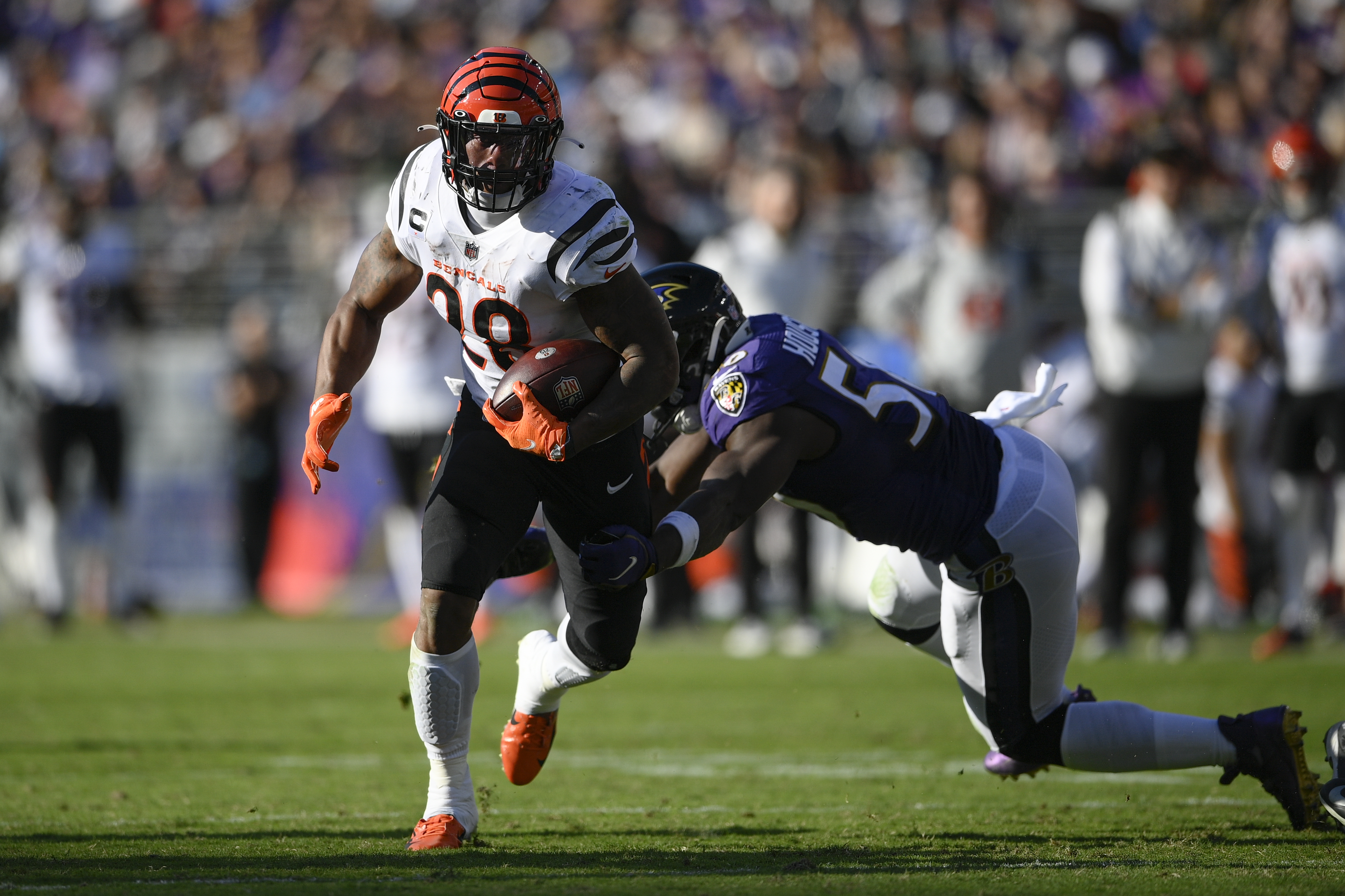 Everything You Need to Know, Ravens vs. Bengals