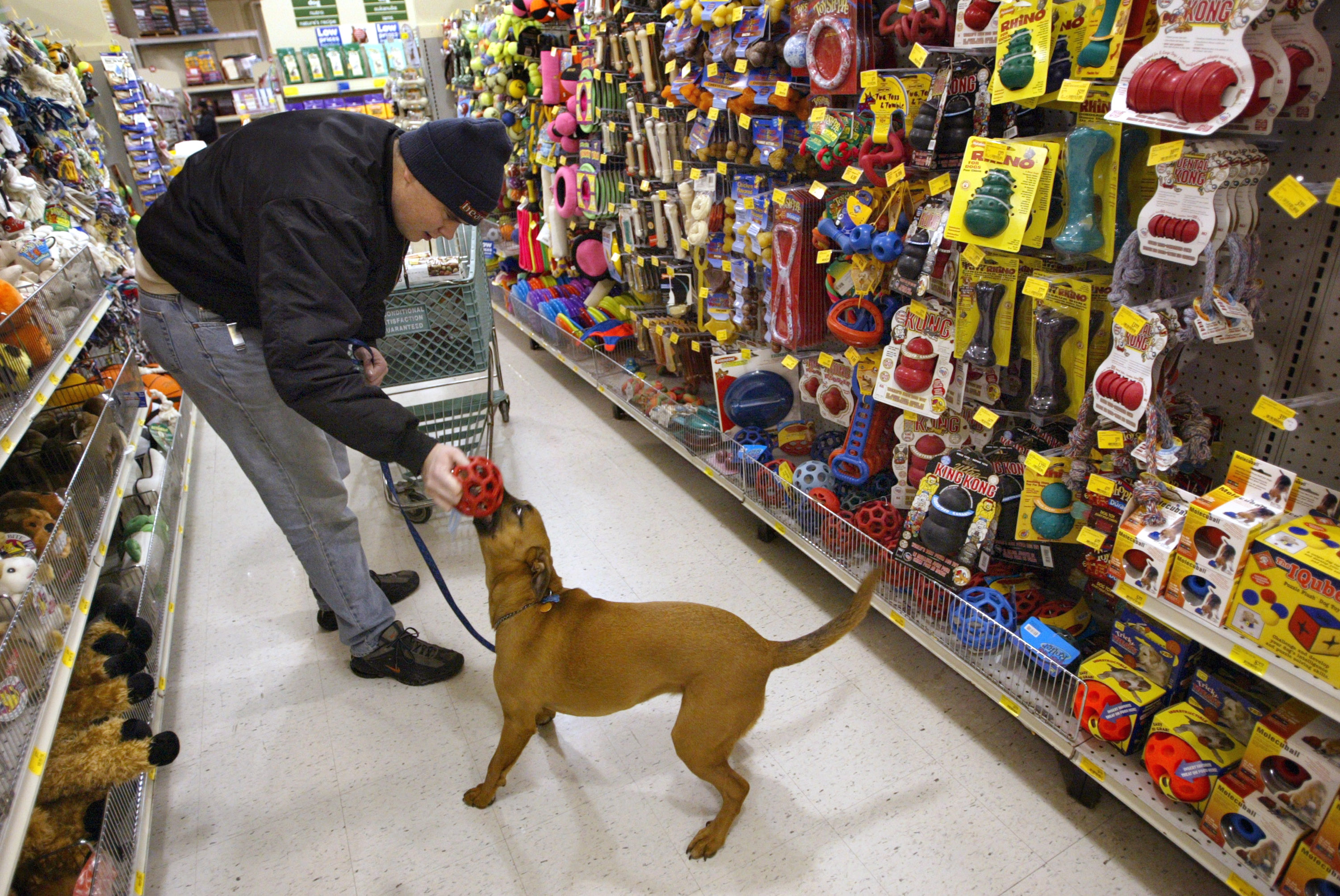 pet smart black friday sale