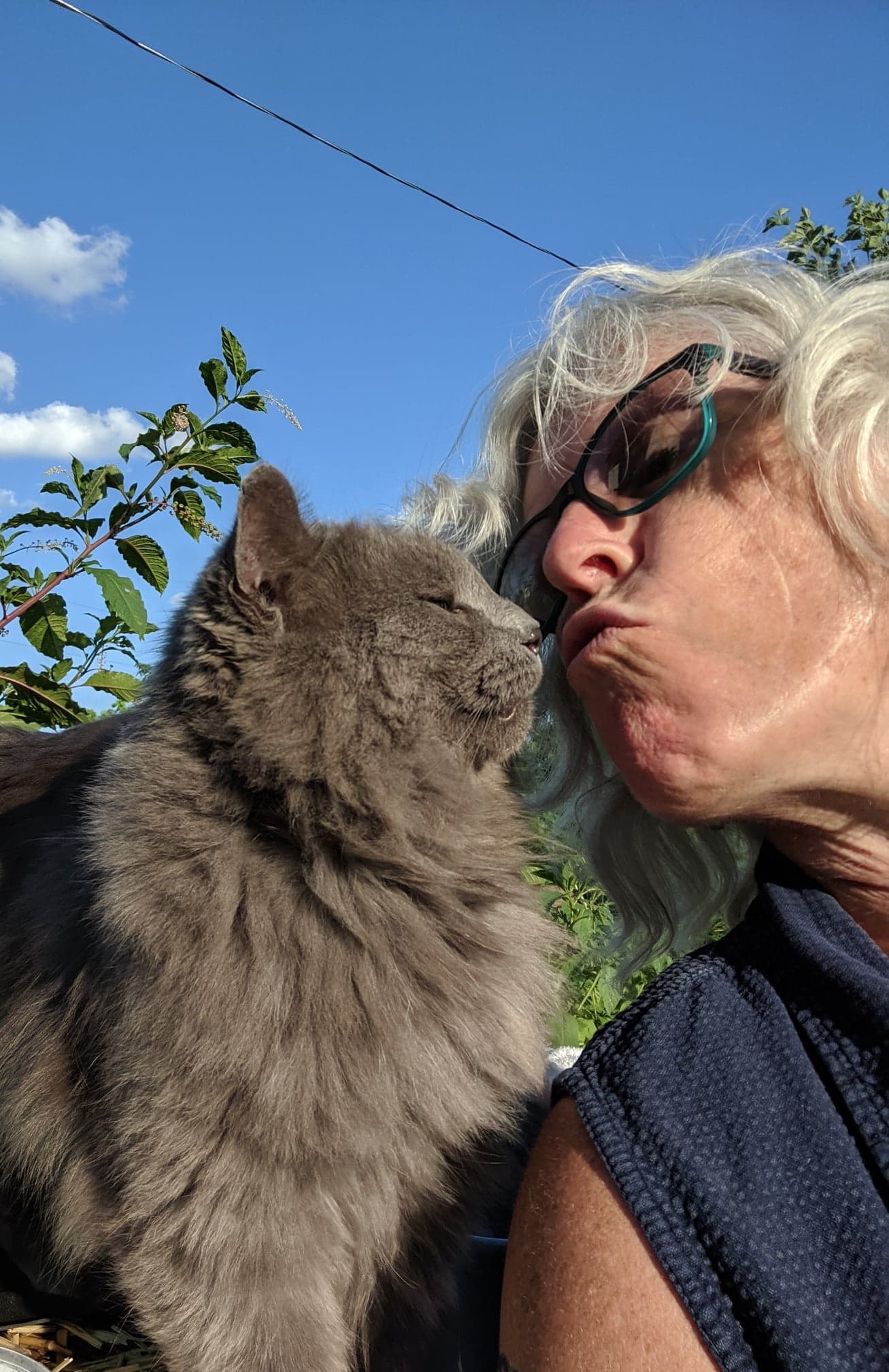 Repair work has continues at Robin and Chris Sassenberg's home on in Dayton. Much progress has happened since the Memorial Day tornadoes. Robin Sassenberg gives her cat Slim Shady a kiss. The cat went missing during the storm, but made his way back home weeks later.