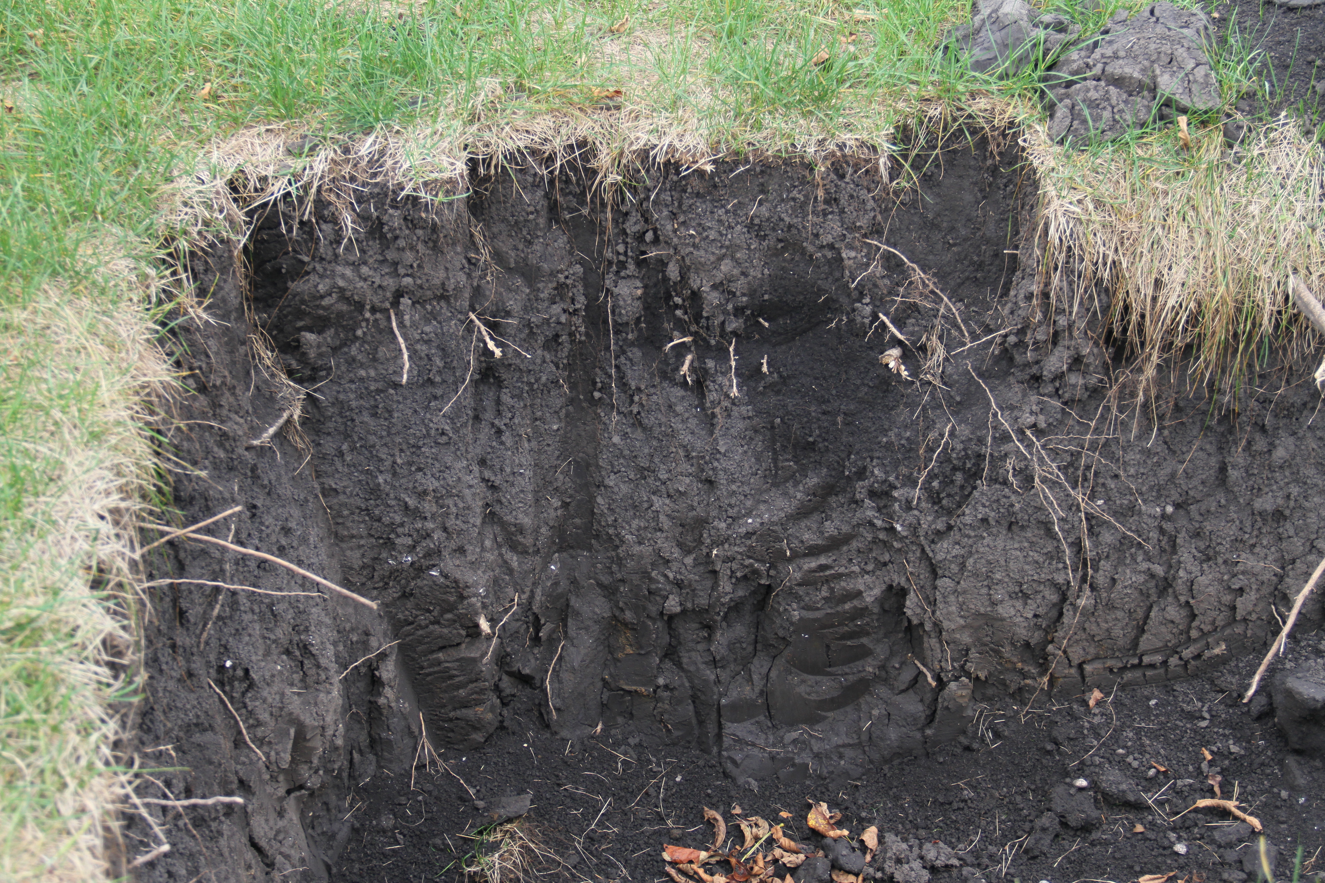 Let's talk dirt! That's soil to gardners.